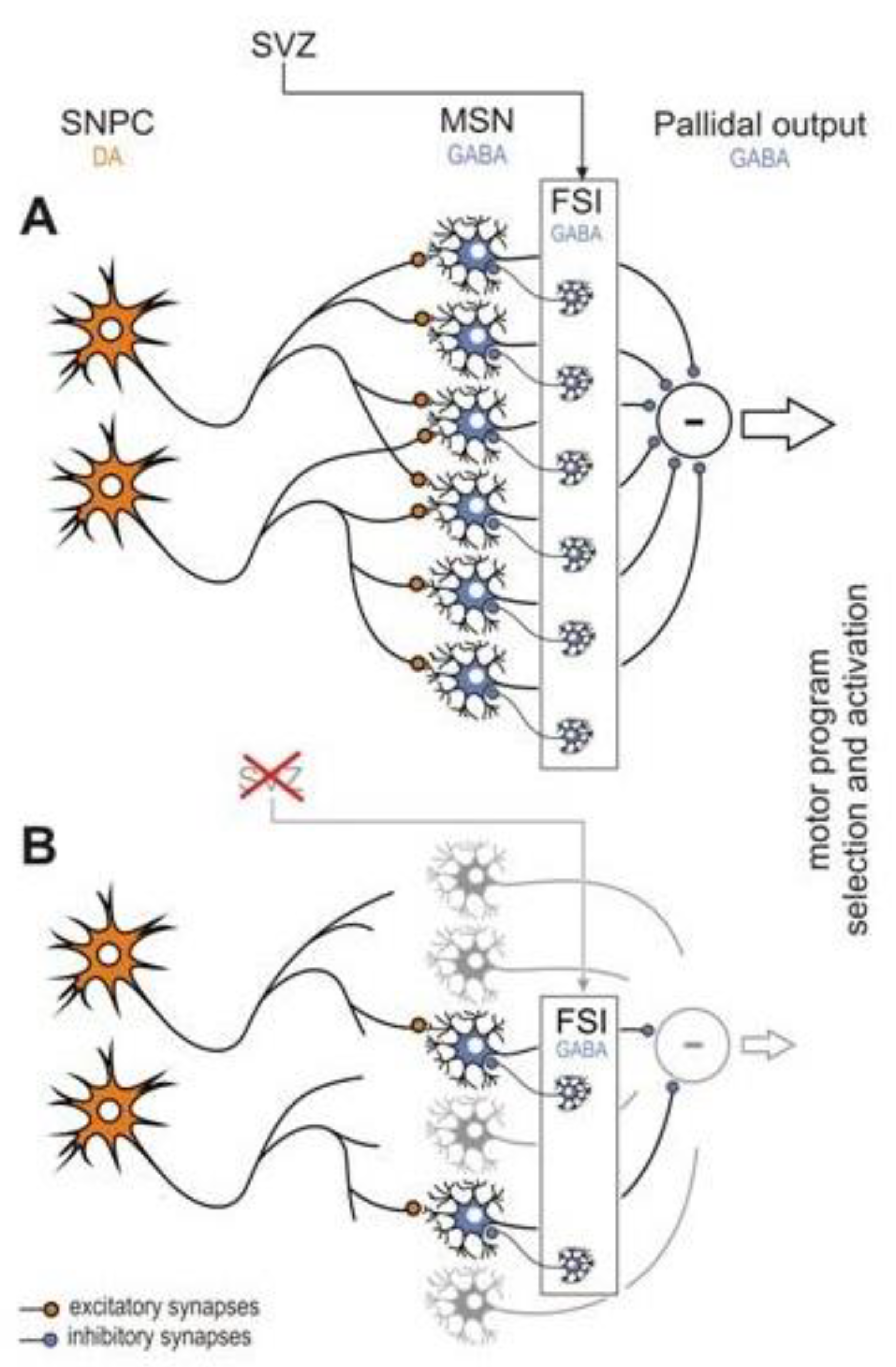 Metabolites 10 00450 g002 Metabolites 10 00450 g002