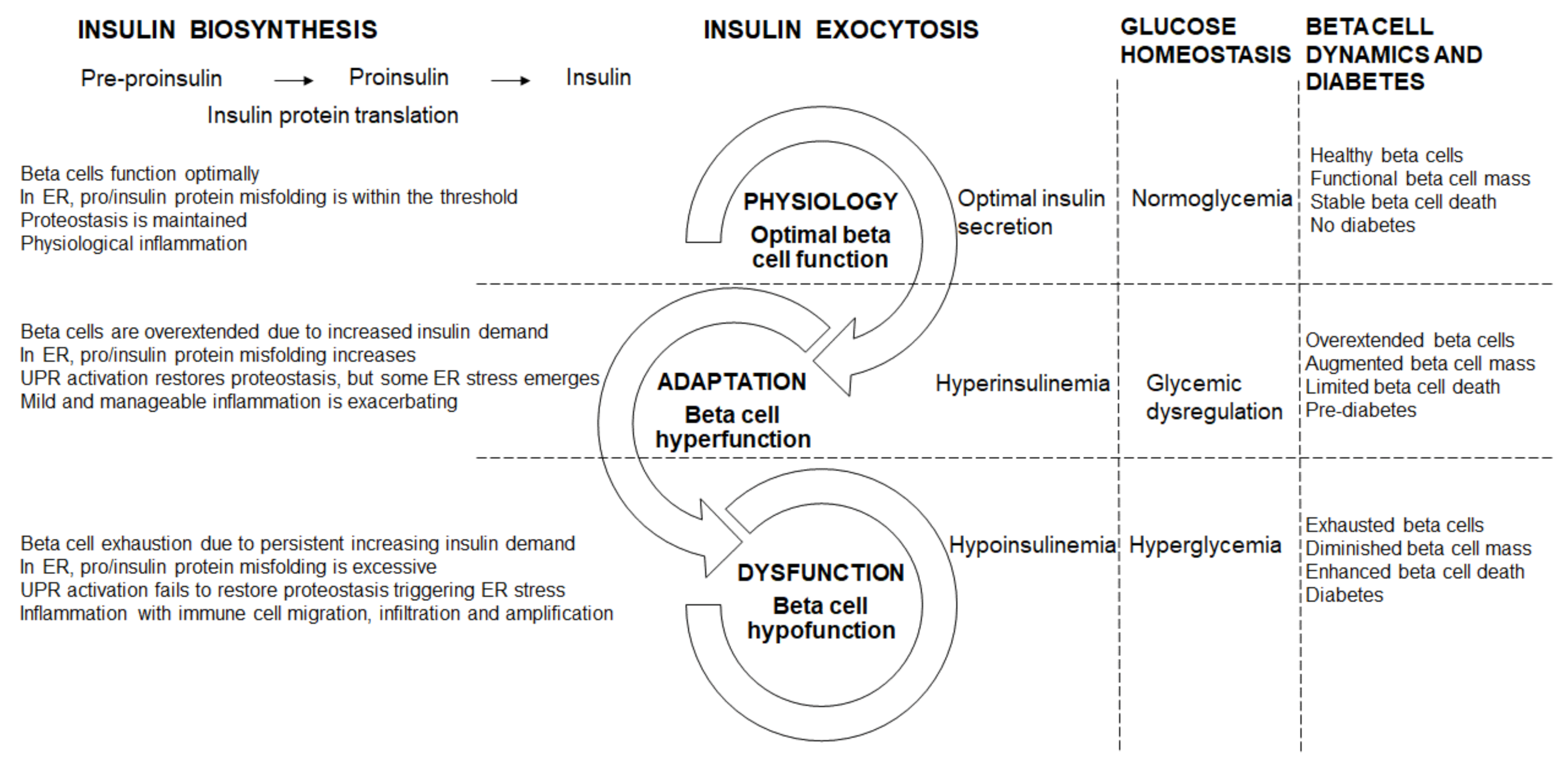 Metabolites 10 00452 g001
