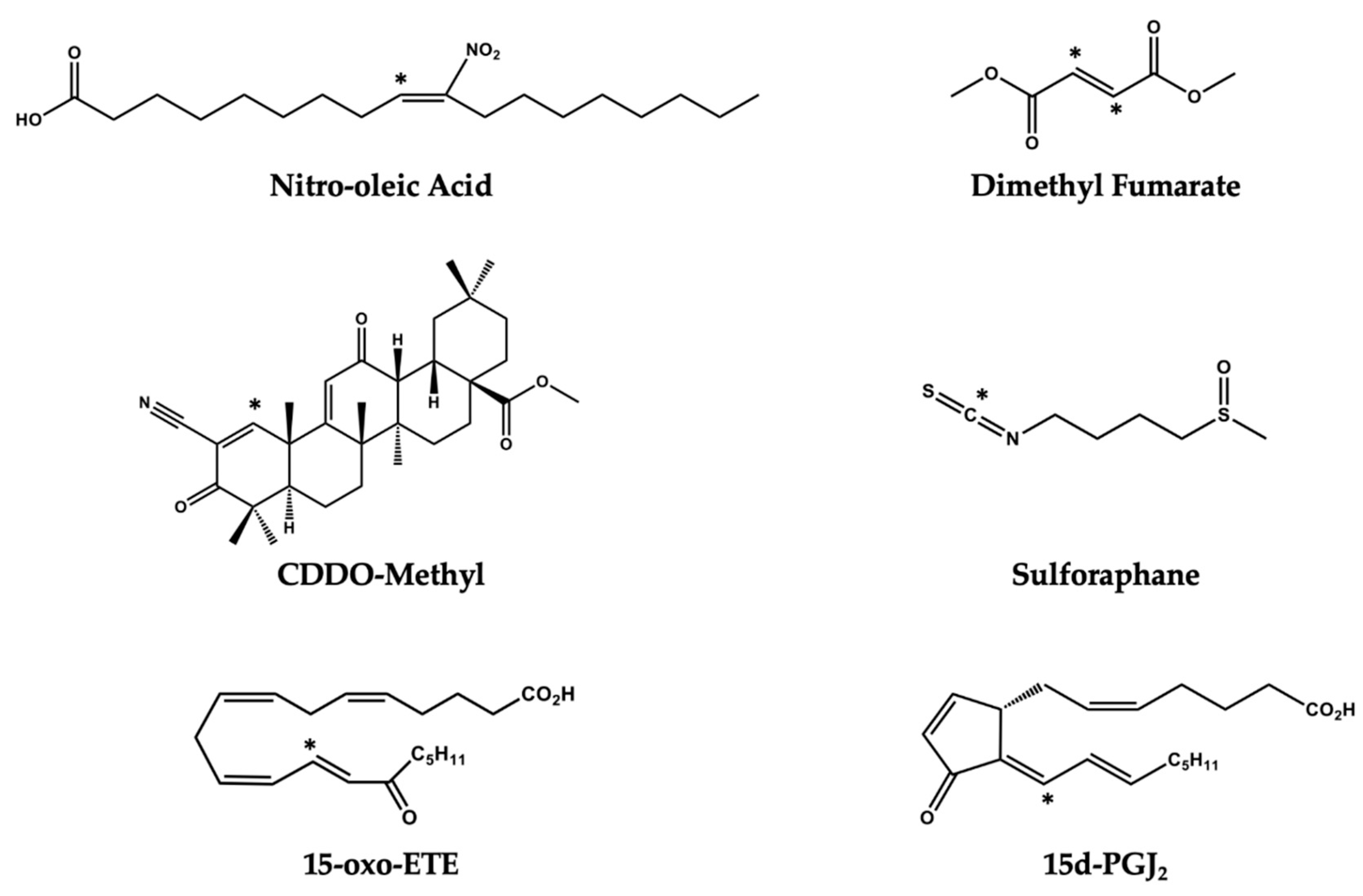 Metabolites 10 00453 g007 Metabolites 10 00453 g007