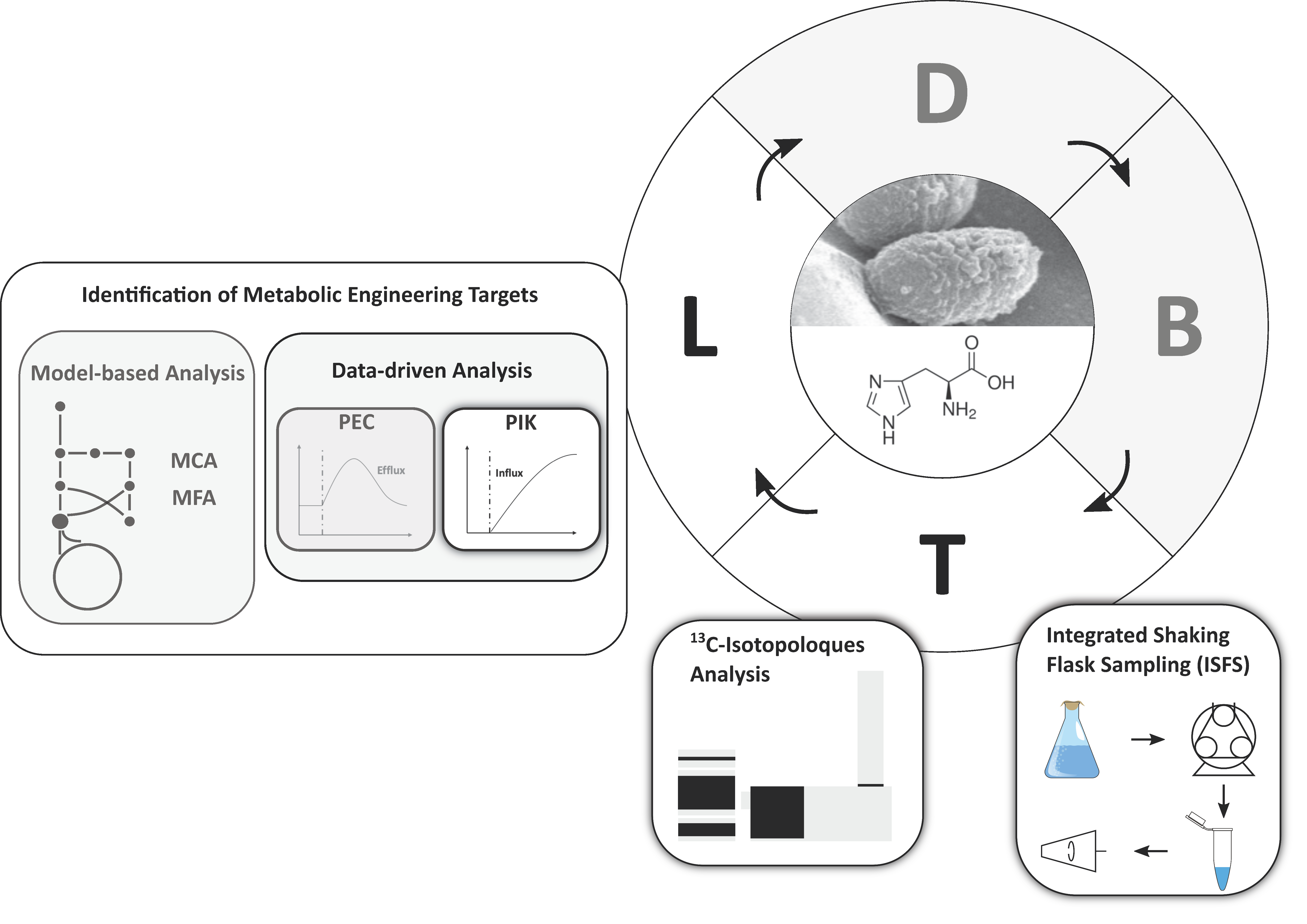 Metabolites 10 00458 g002 Metabolites 10 00458 g002