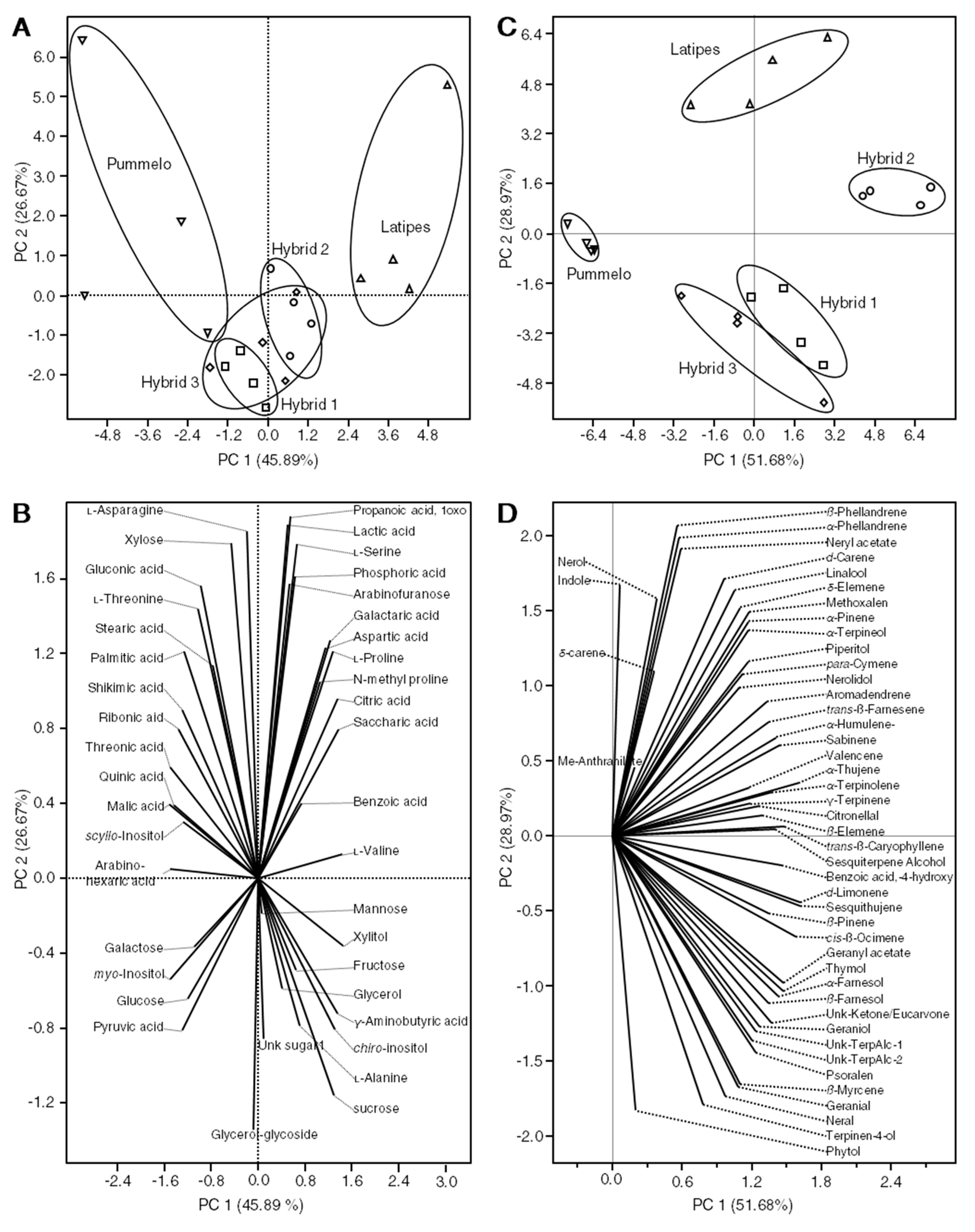 Metabolites 10 00477 g002