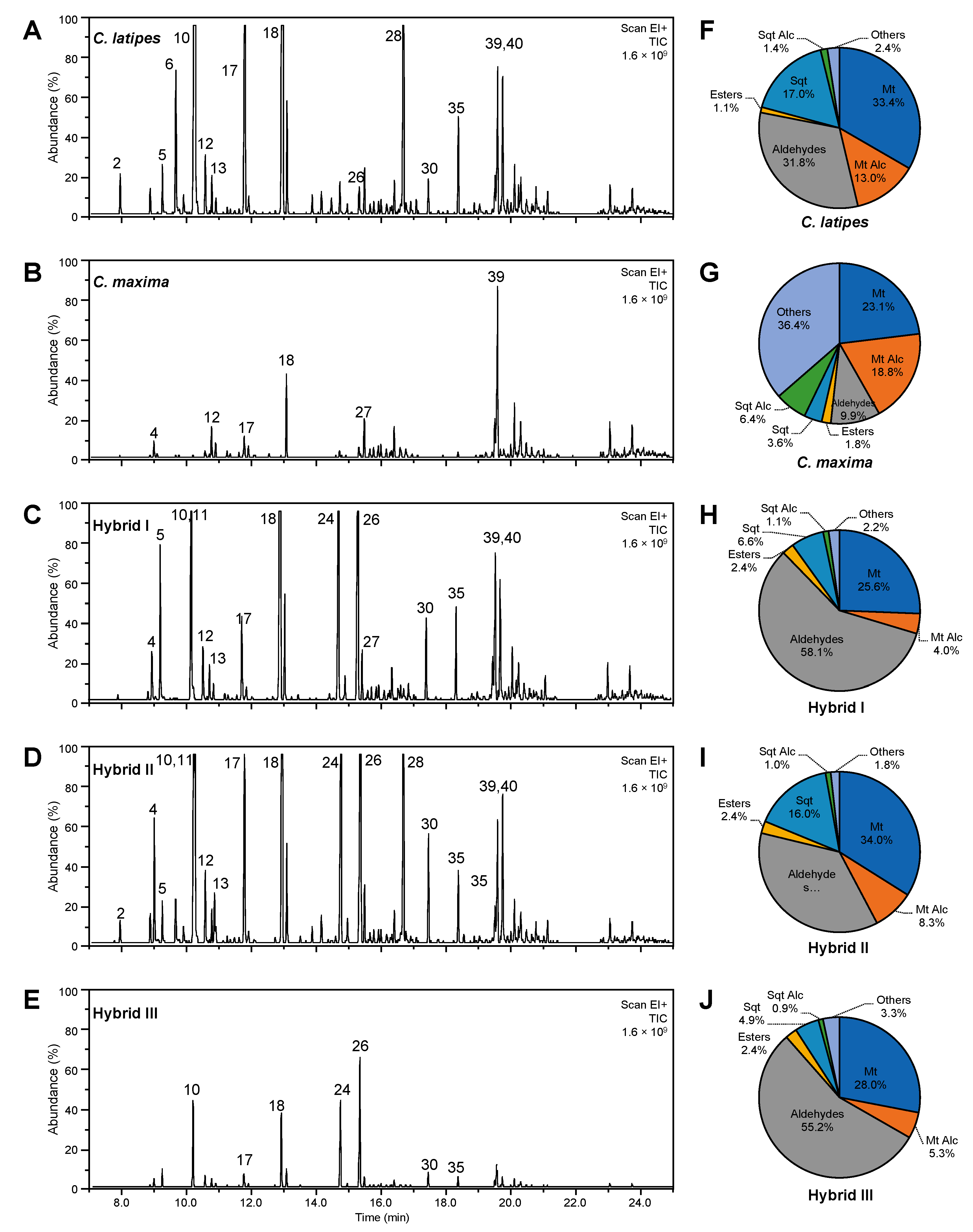 Metabolites 10 00477 g003