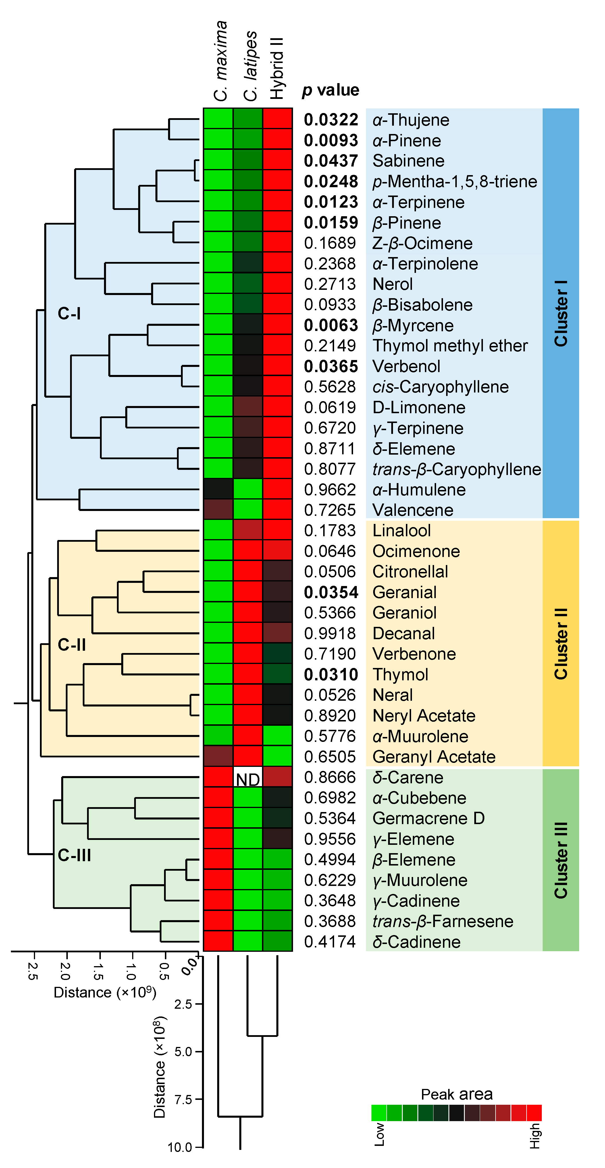 Metabolites 10 00477 g005