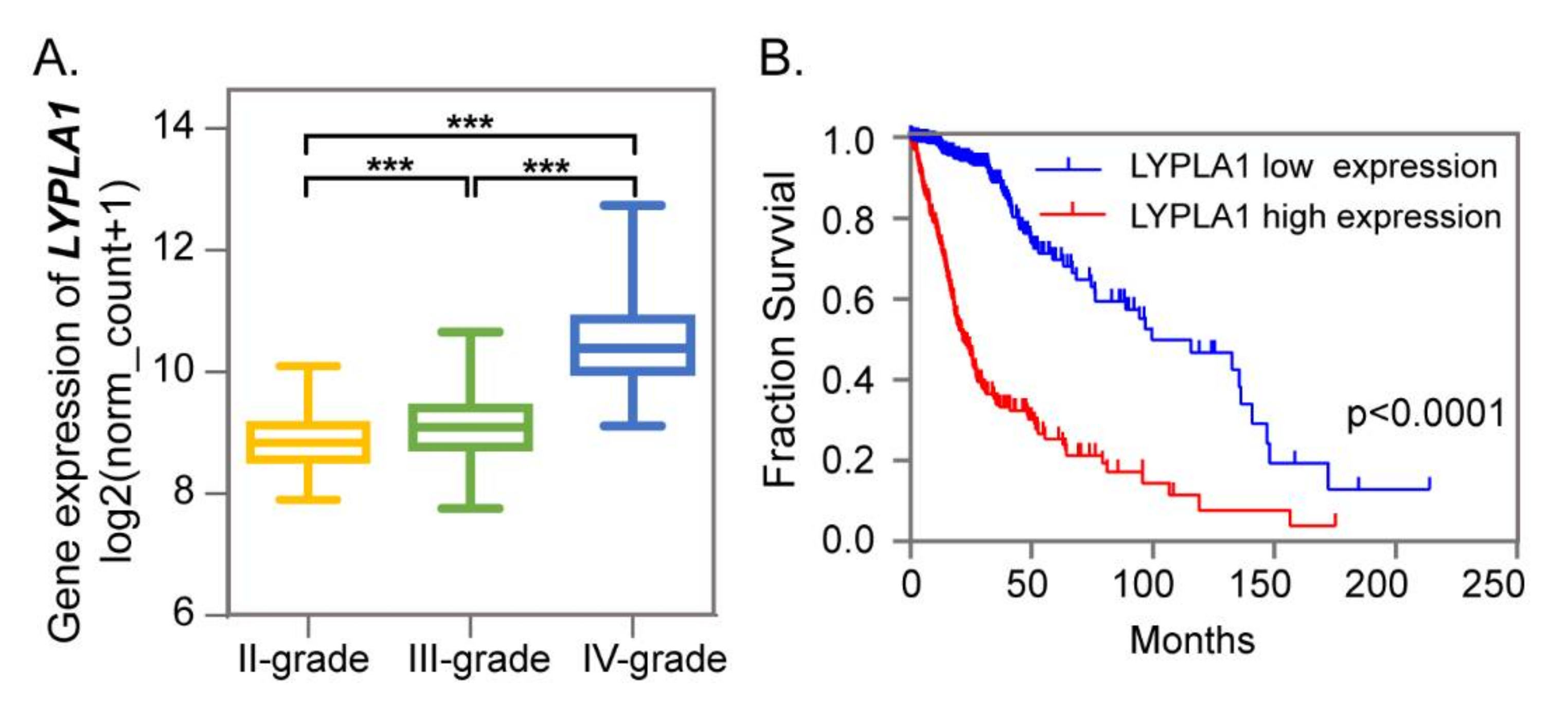 Metabolites 10 00478 g004 Metabolites 10 00478 g004