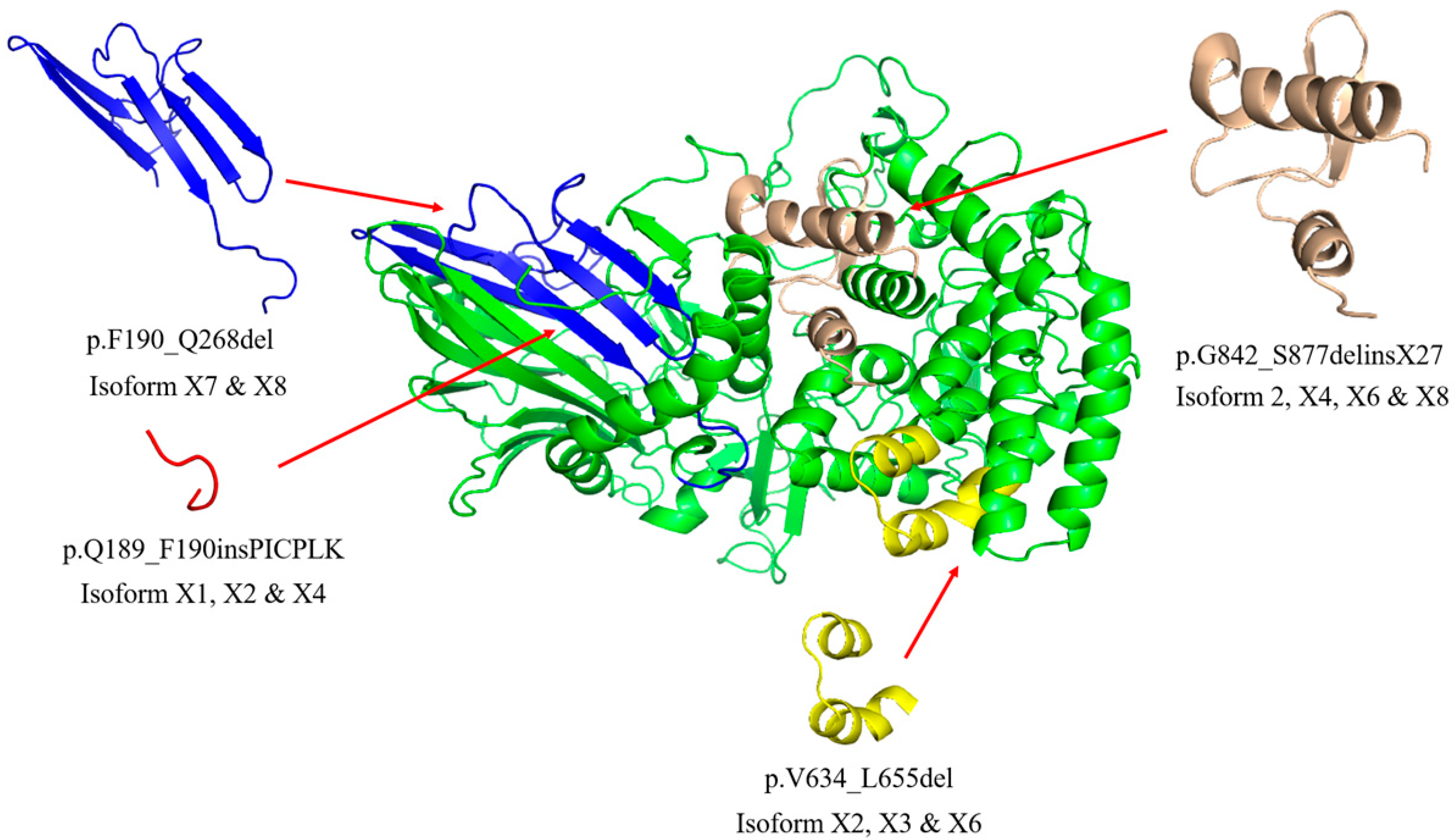 Metabolites 10 00488 g002