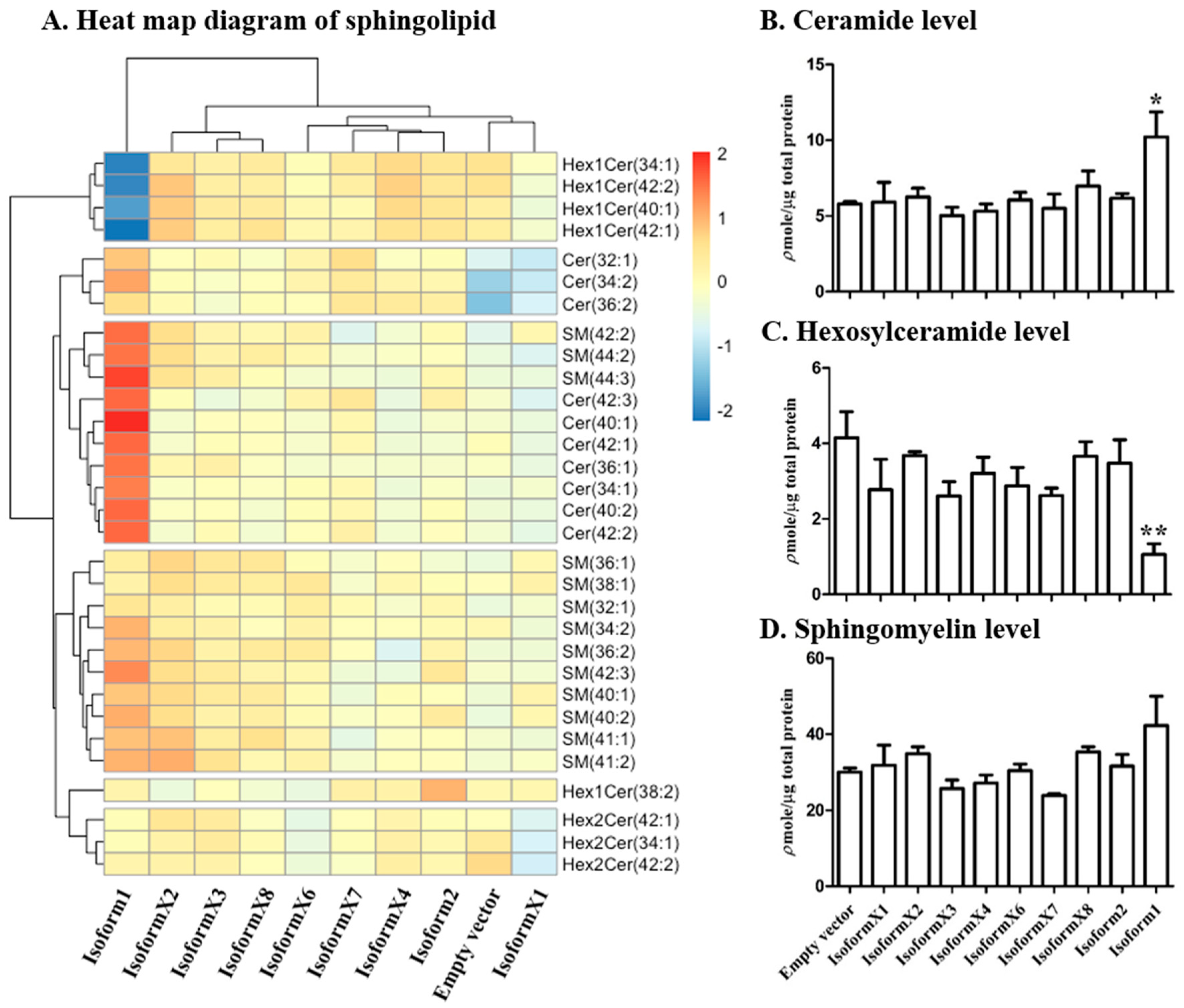Metabolites 10 00488 g004