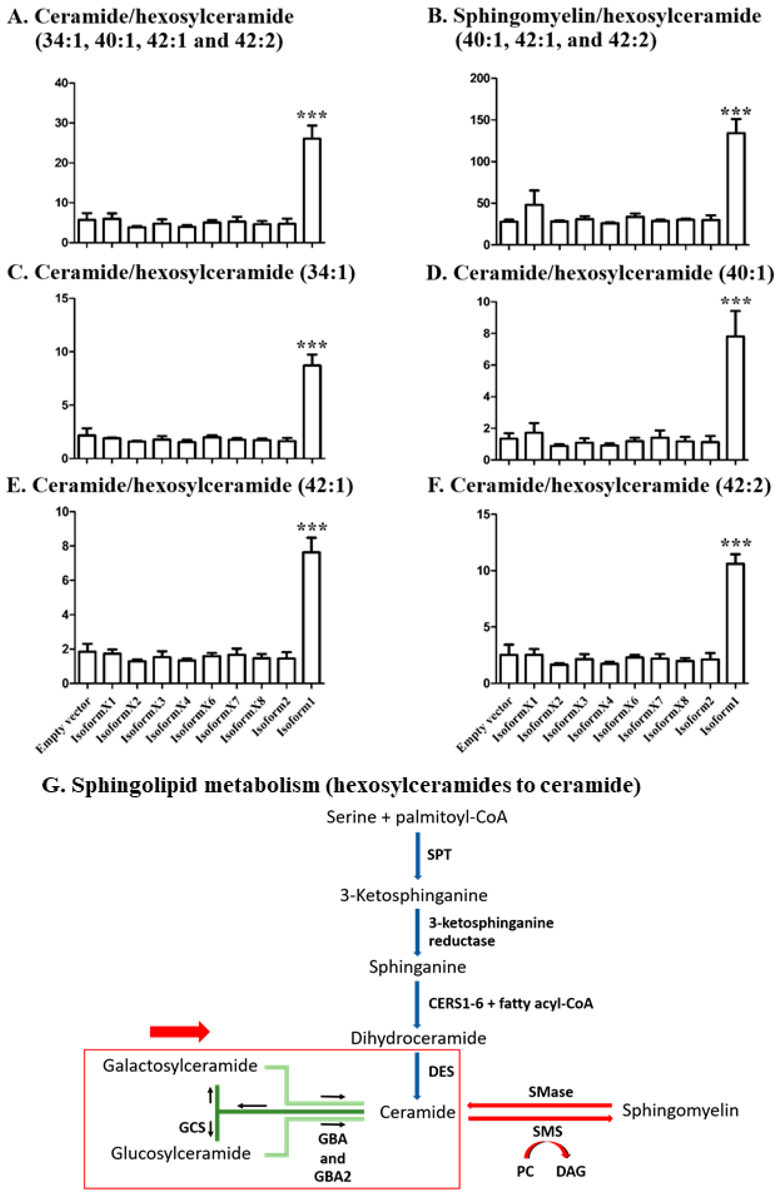 Metabolites 10 00488 g005
