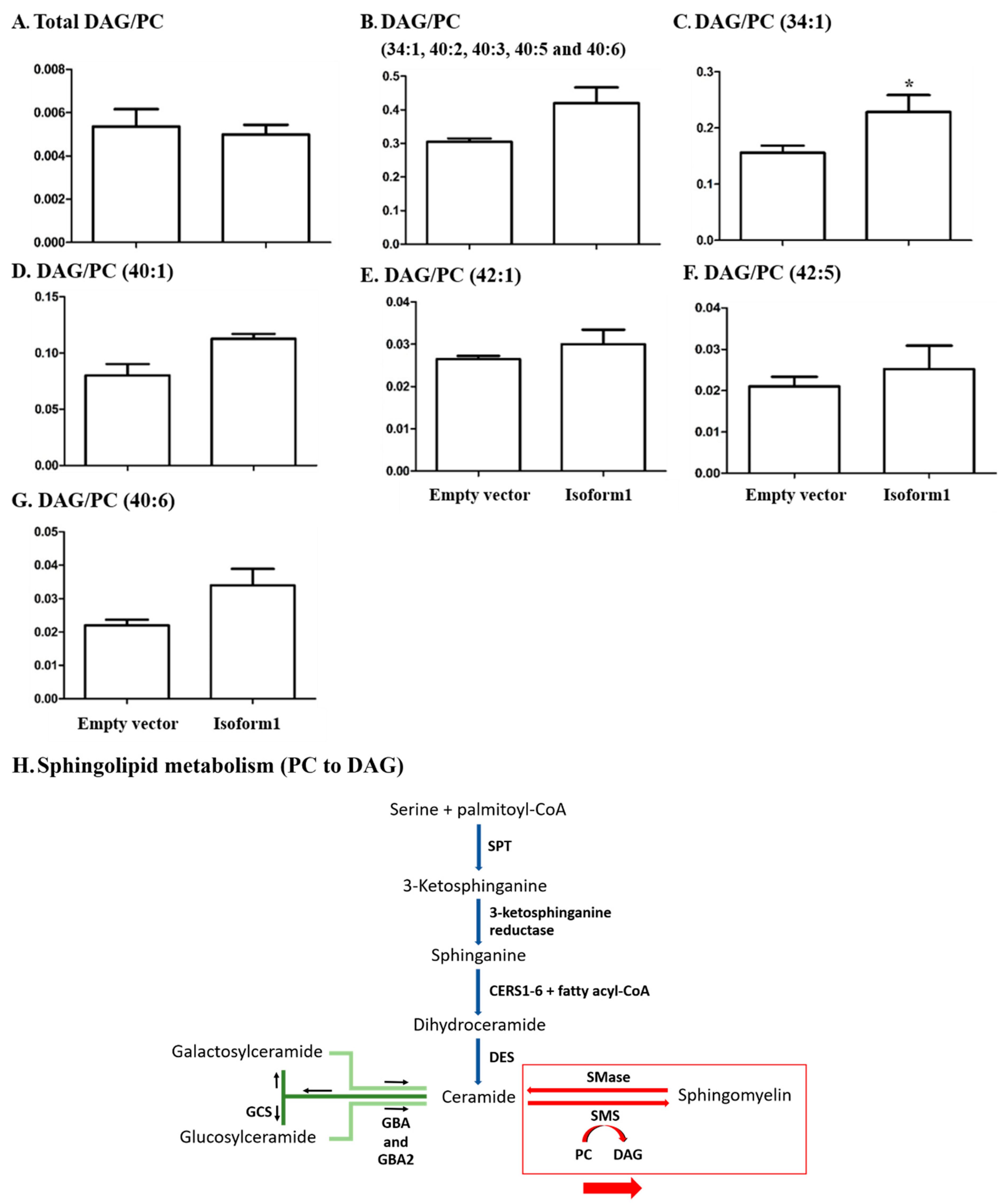 Metabolites 10 00488 g007