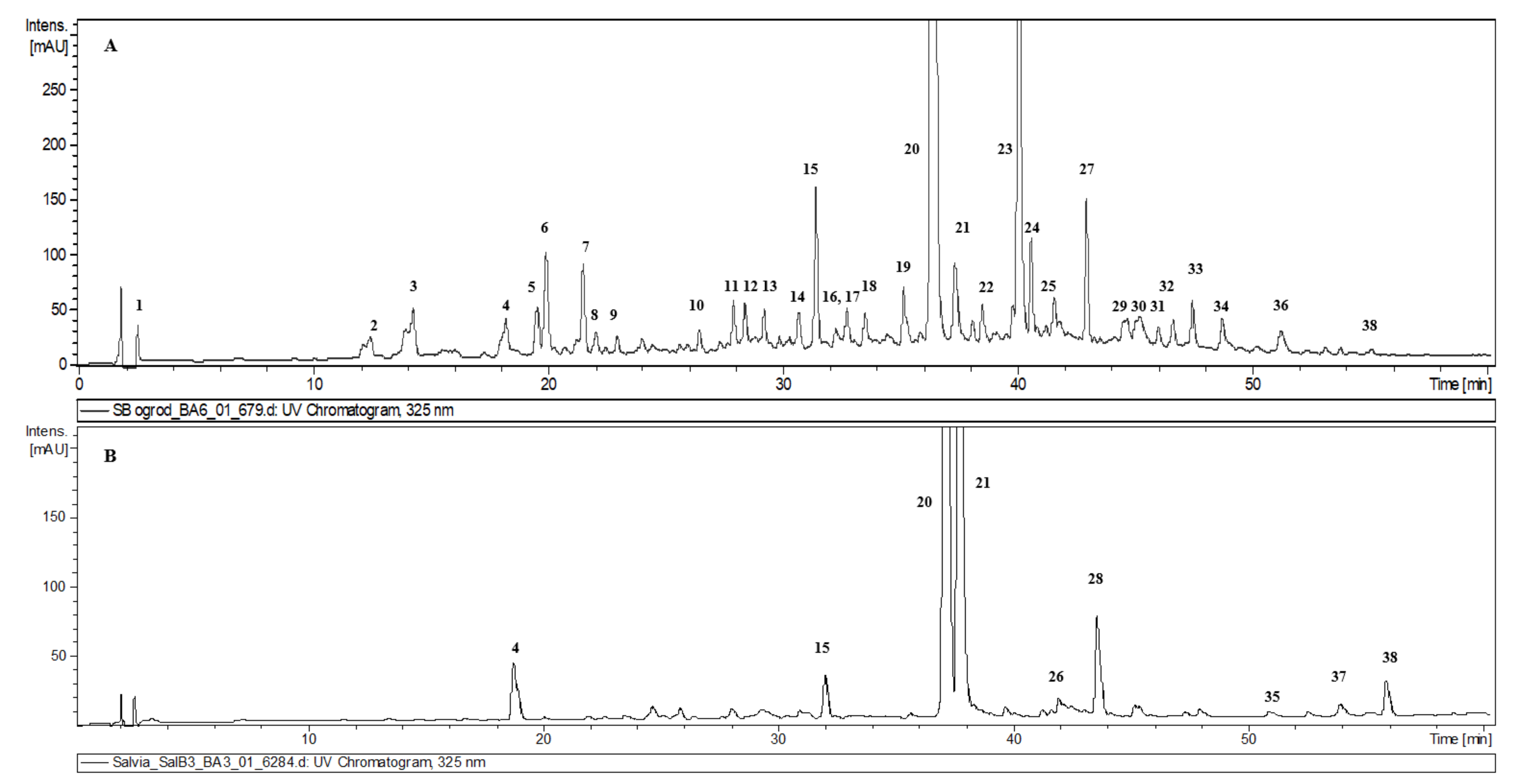 Metabolites 10 00497 g002 Metabolites 10 00497 g002