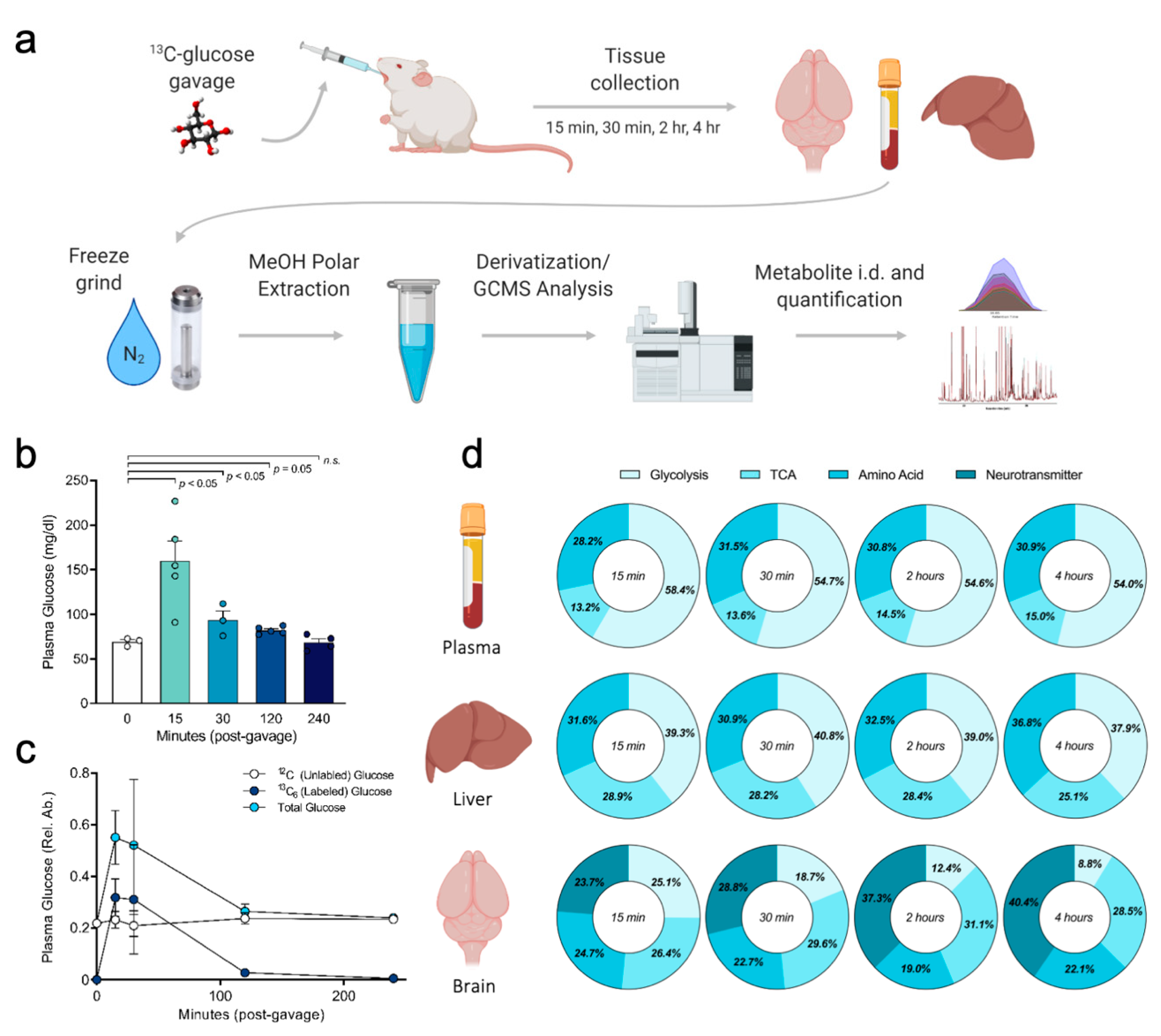 Metabolites 10 00501 g001