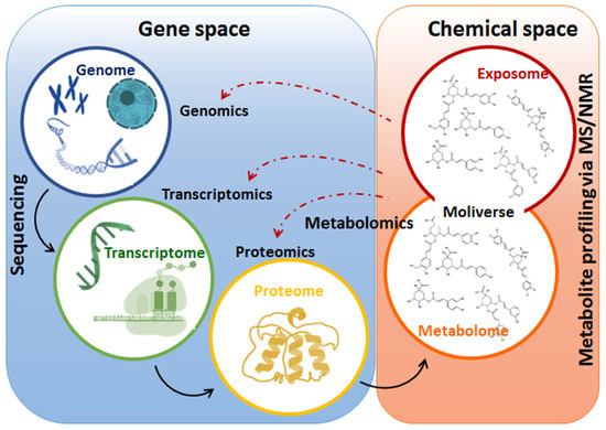 Metabolites 10 00505 g003 550