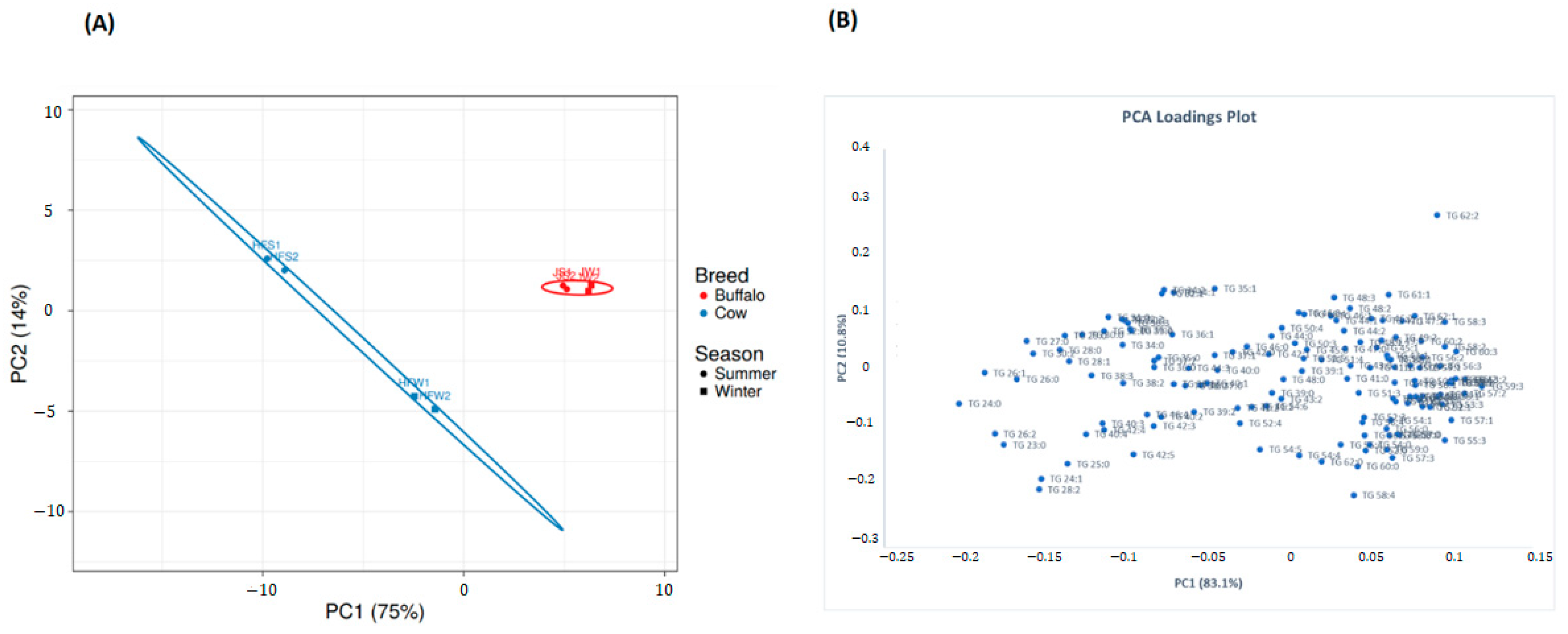 Metabolites 10 00507 g005a Metabolites 10 00507 g005a