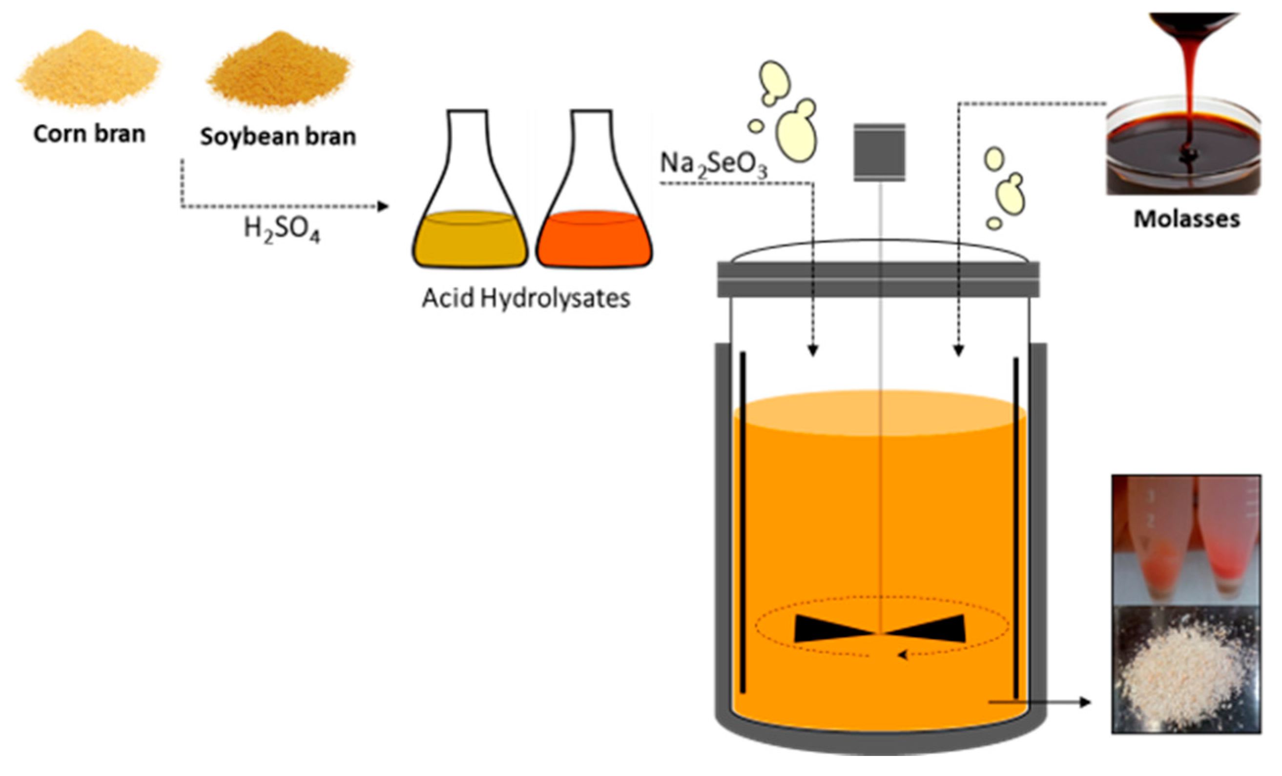 Metabolites 10 00508 g002