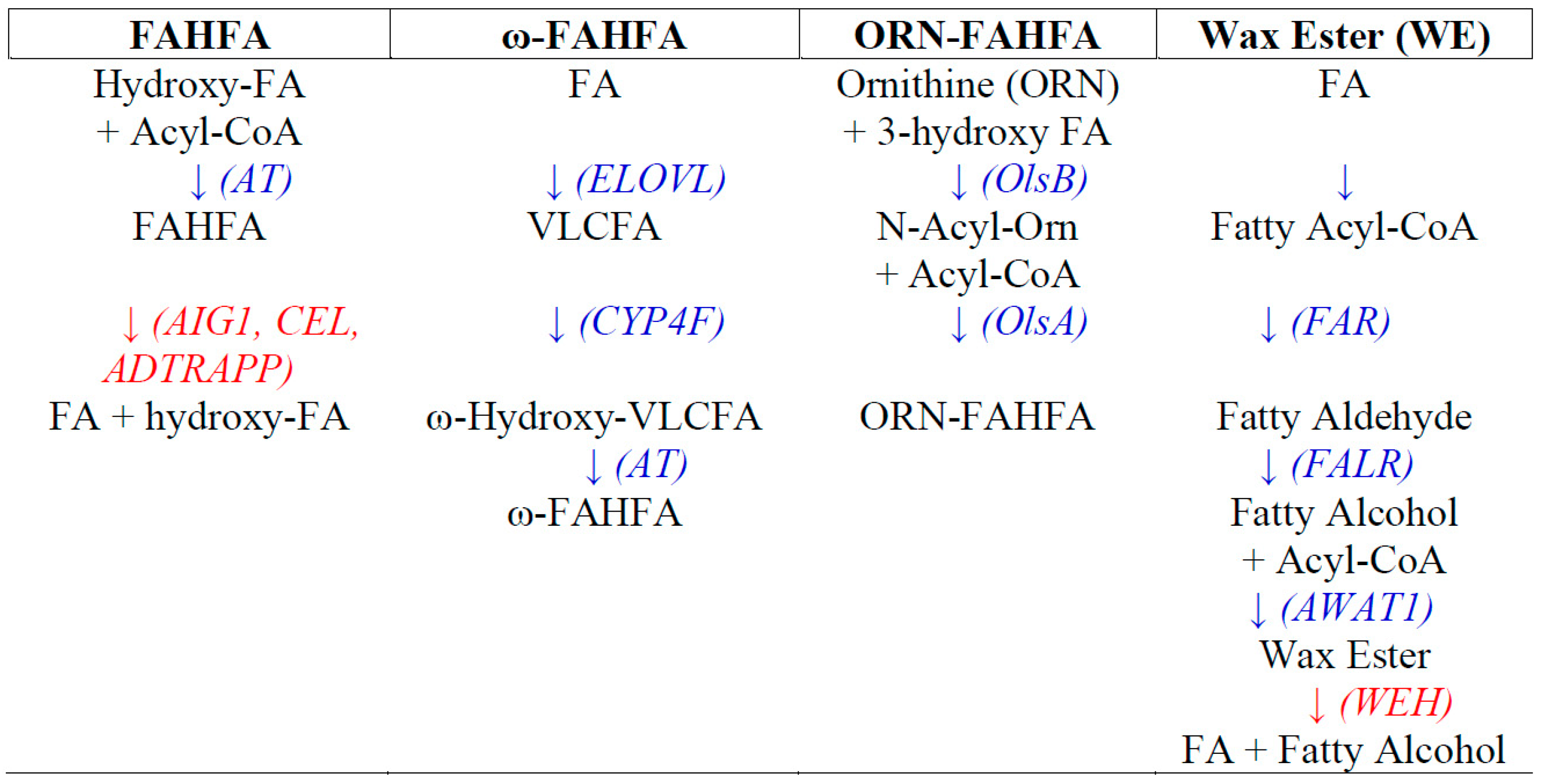 Metabolites 10 00512 g002 Metabolites 10 00512 g002
