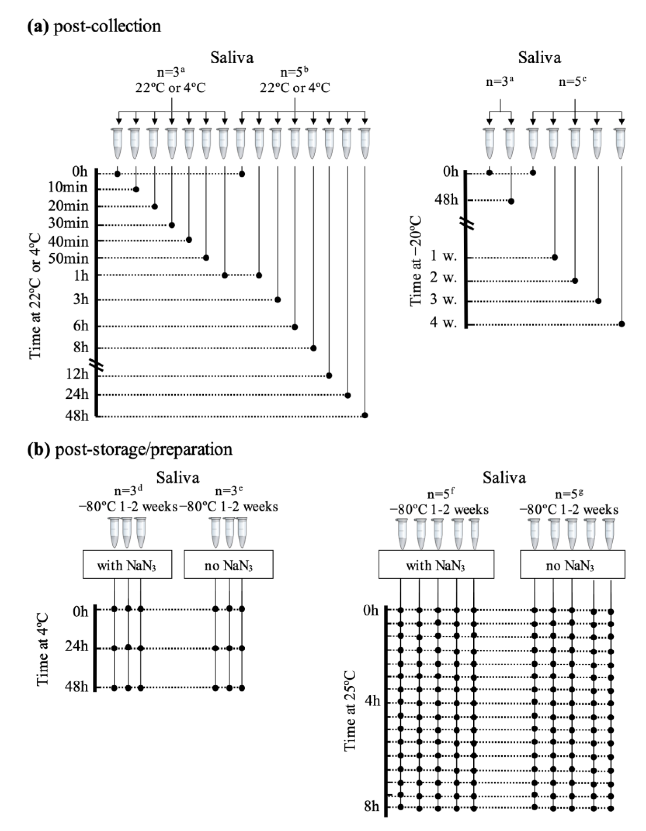 Metabolites 10 00515 g005 Metabolites 10 00515 g005