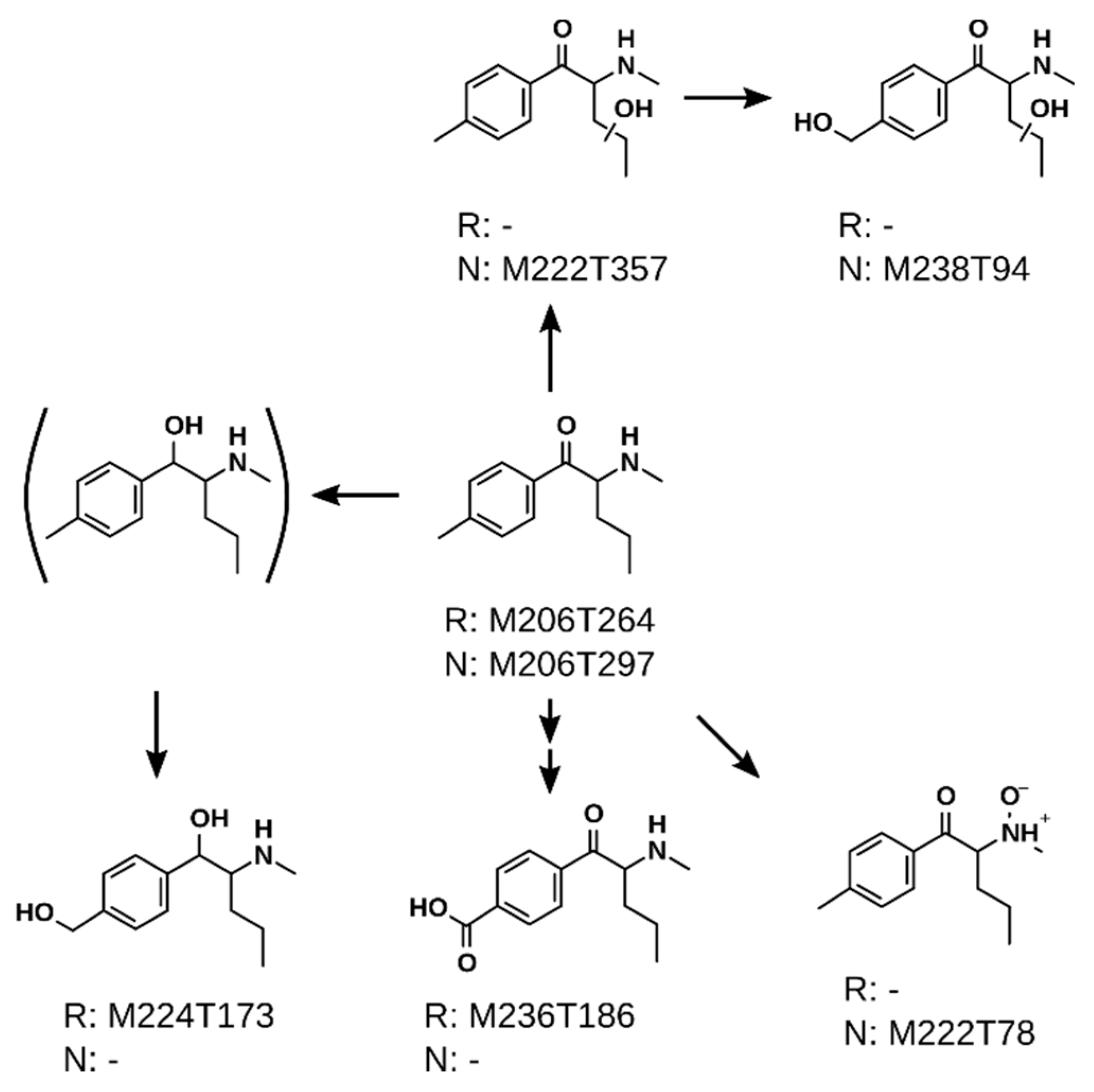 Metabolites 11 00003 g004 Metabolites 11 00003 g004