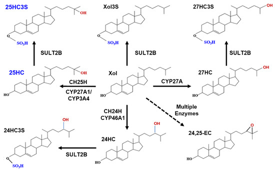 Metabolites 11 00009 g001 550