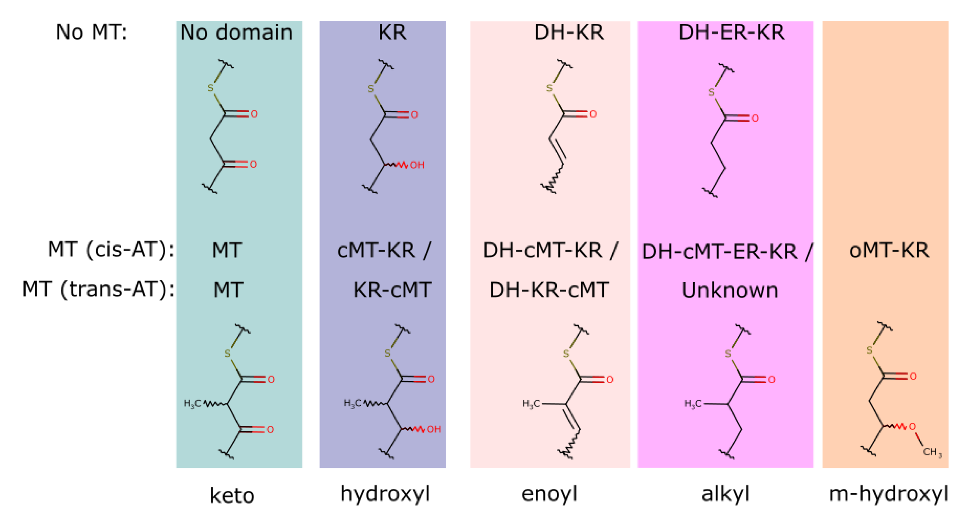 Metabolites 11 00013 g004