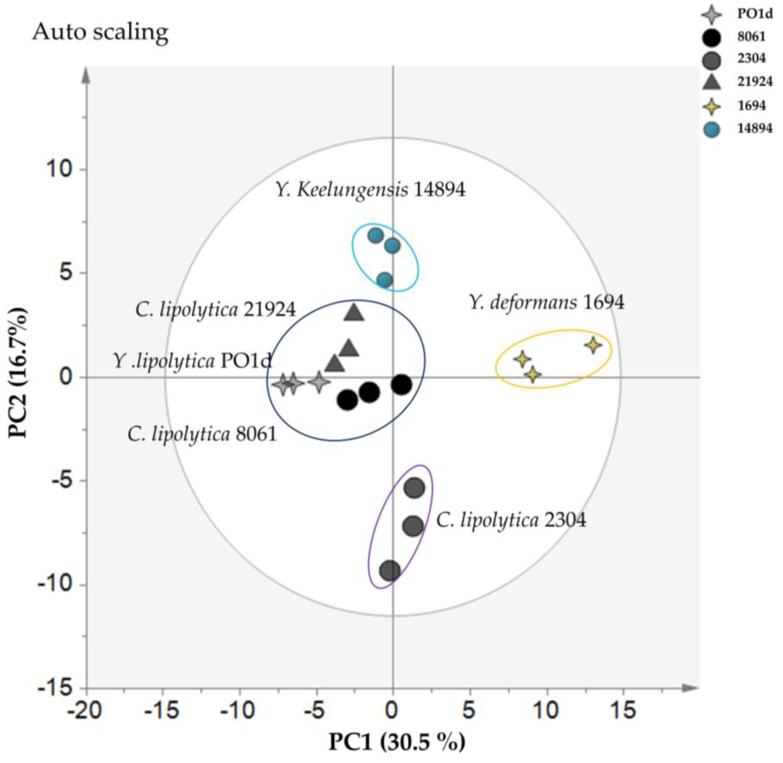Metabolites 11 00016 g006 Metabolites 11 00016 g006
