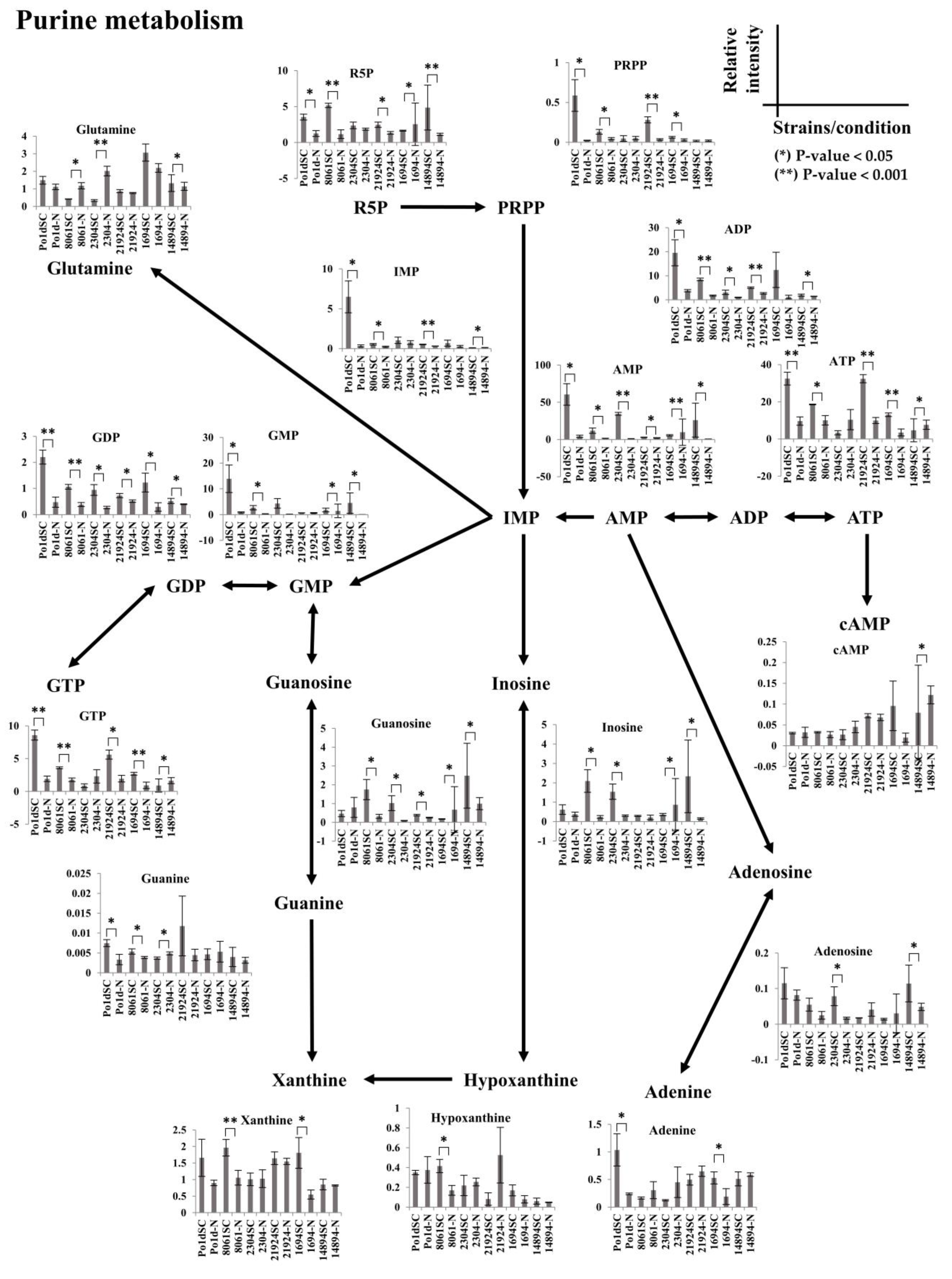 Metabolites 11 00016 g007 Metabolites 11 00016 g007