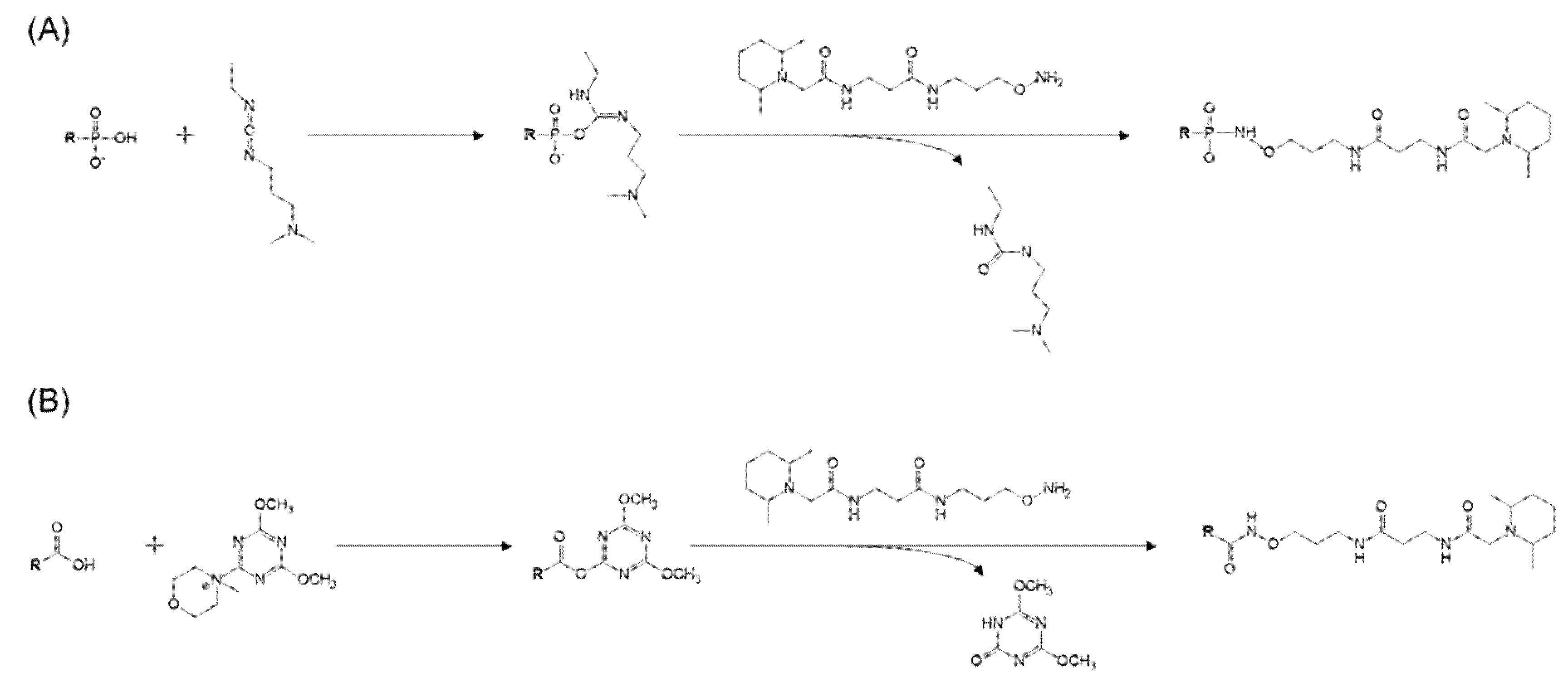 Metabolites 11 00019 g002 Metabolites 11 00019 g002