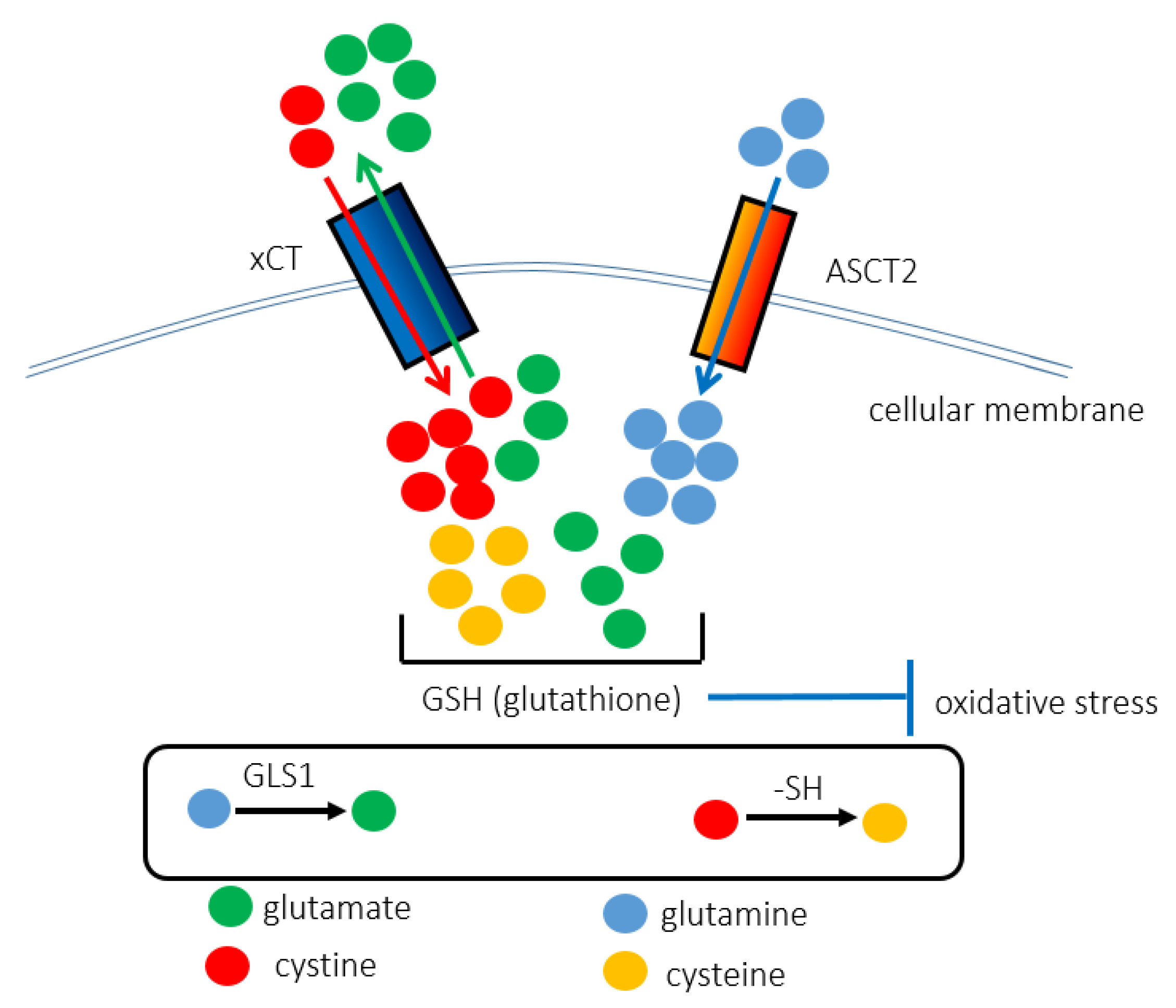 Metabolites 11 00027 g002 Metabolites 11 00027 g002