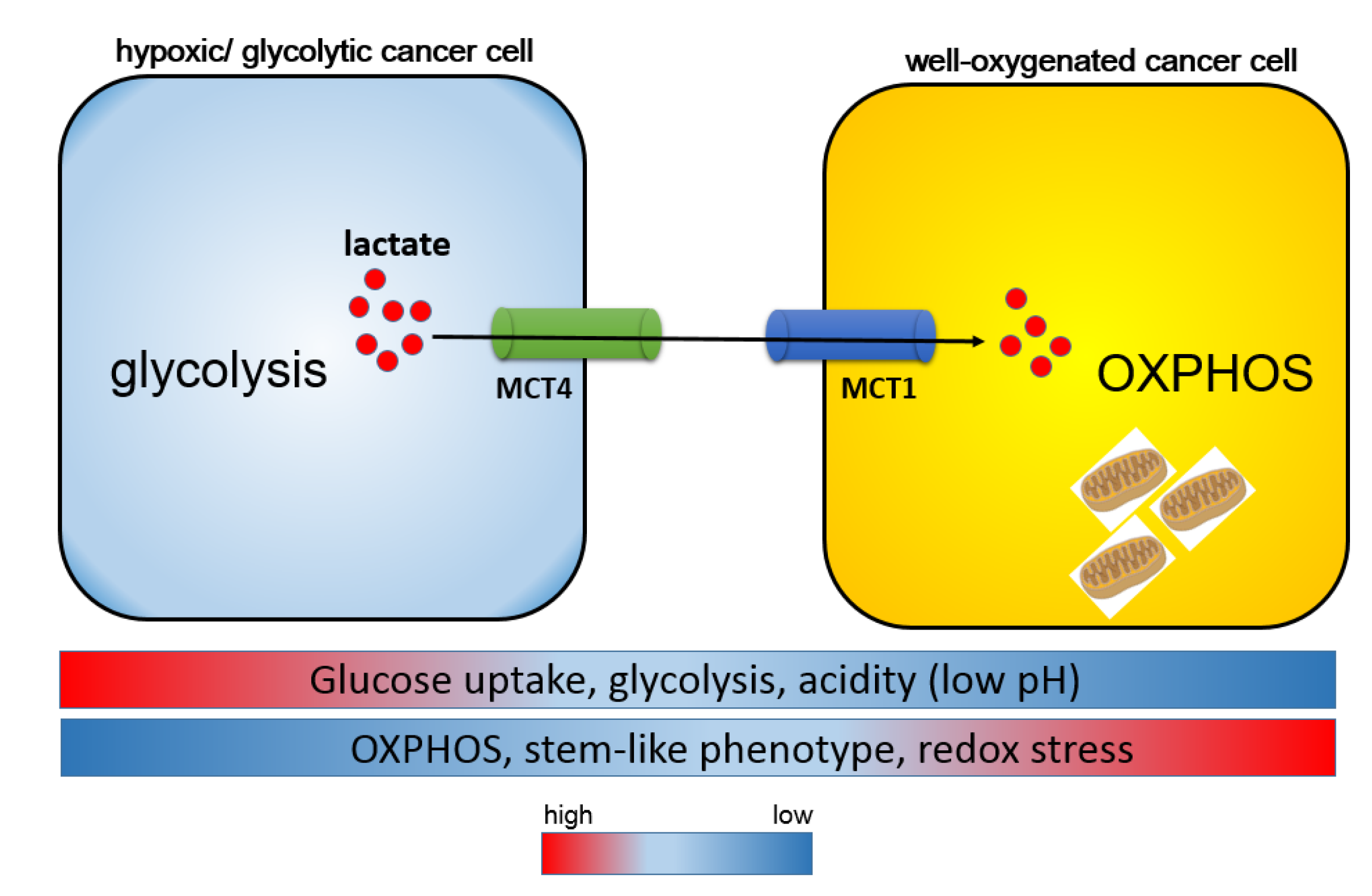 Metabolites 11 00027 g003 Metabolites 11 00027 g003