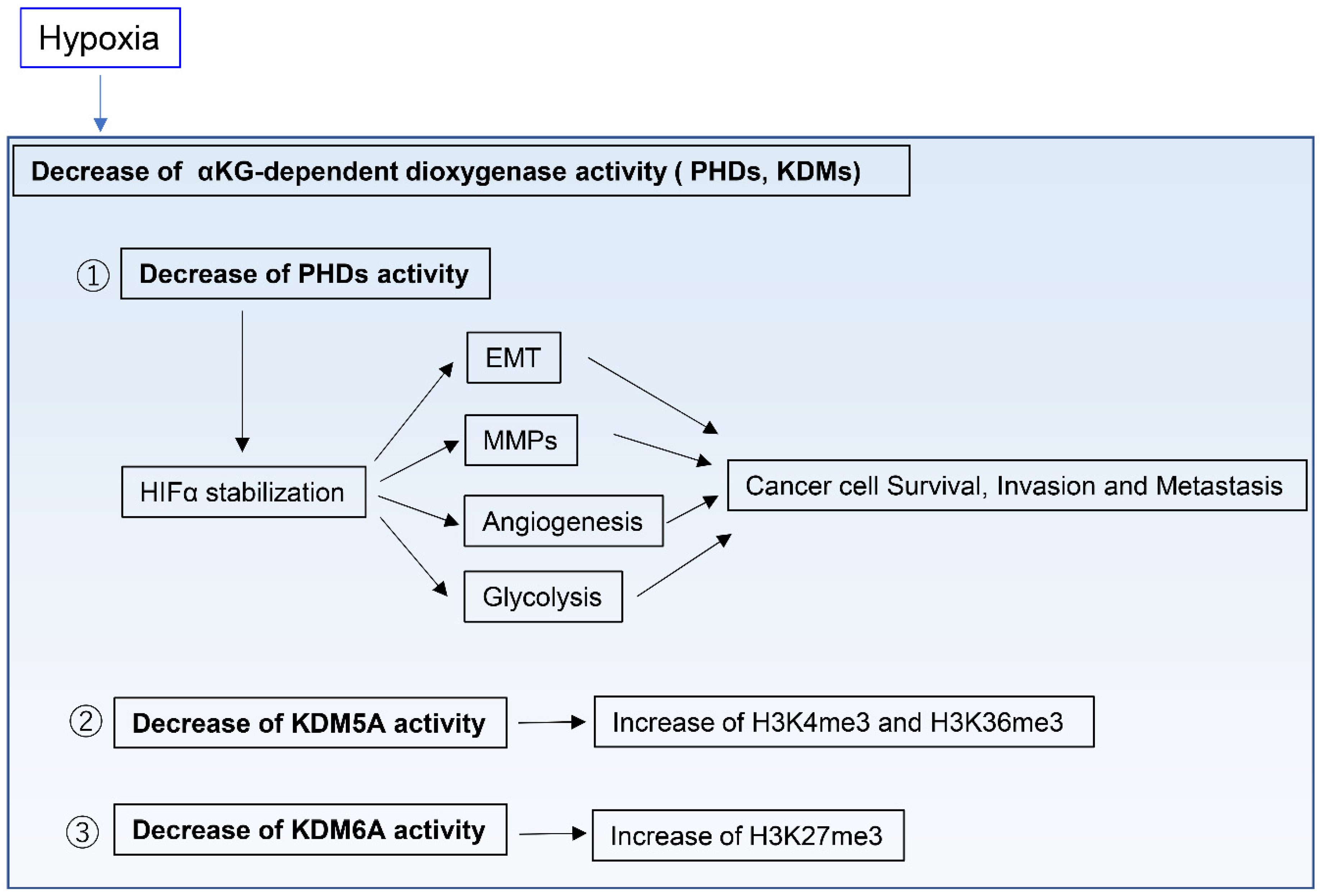 Metabolites 11 00028 g003 Metabolites 11 00028 g003
