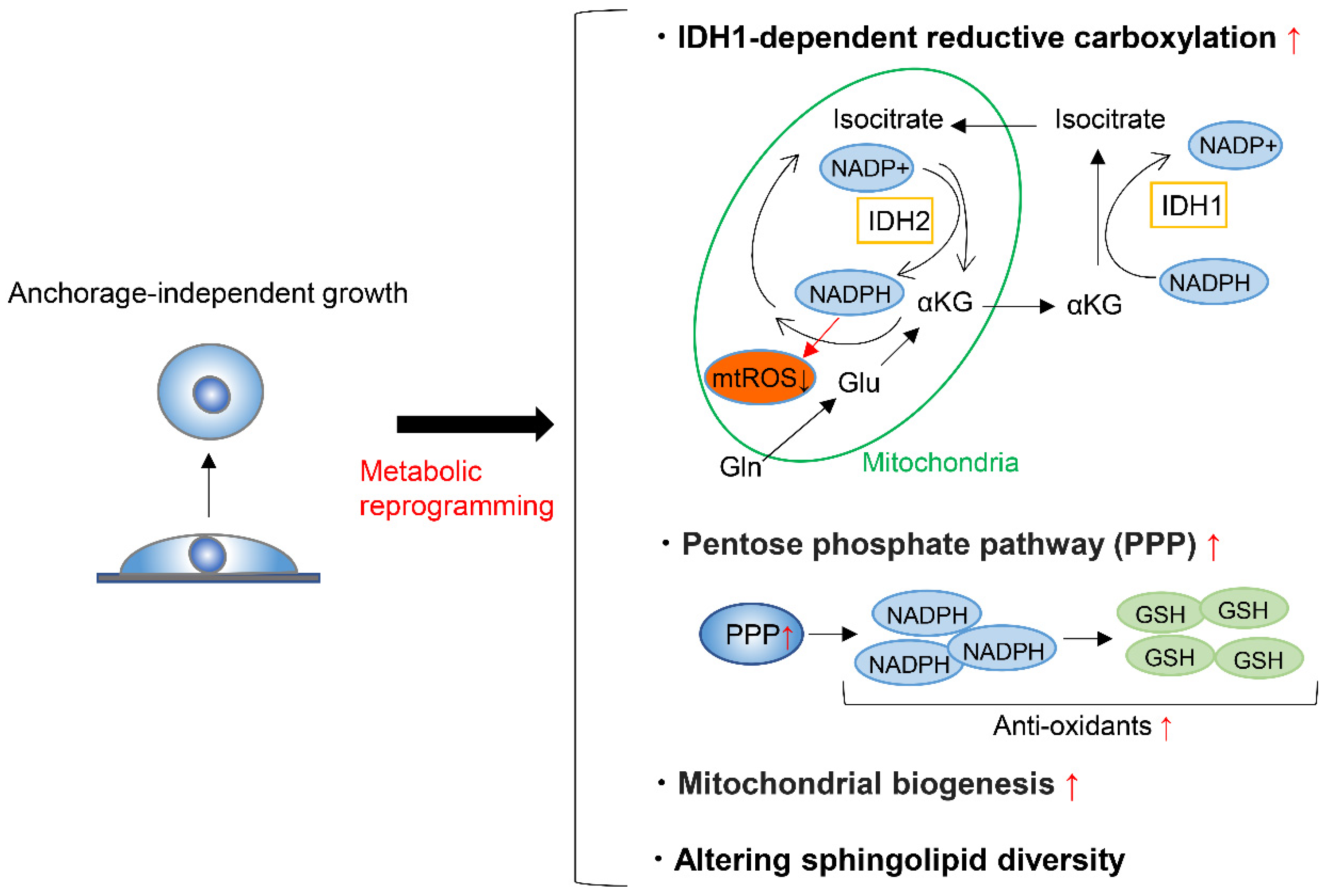 Metabolites 11 00028 g005 Metabolites 11 00028 g005