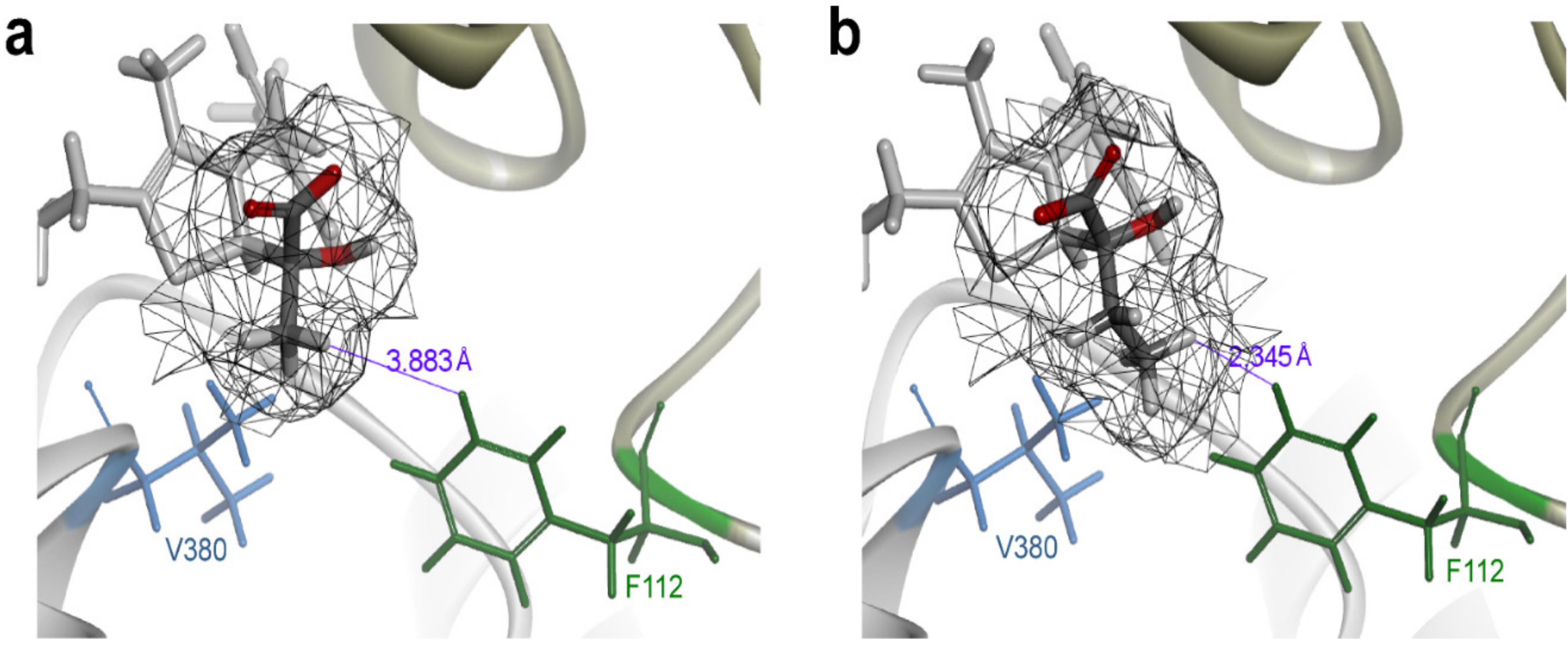 Metabolites 11 00030 g003 Metabolites 11 00030 g003
