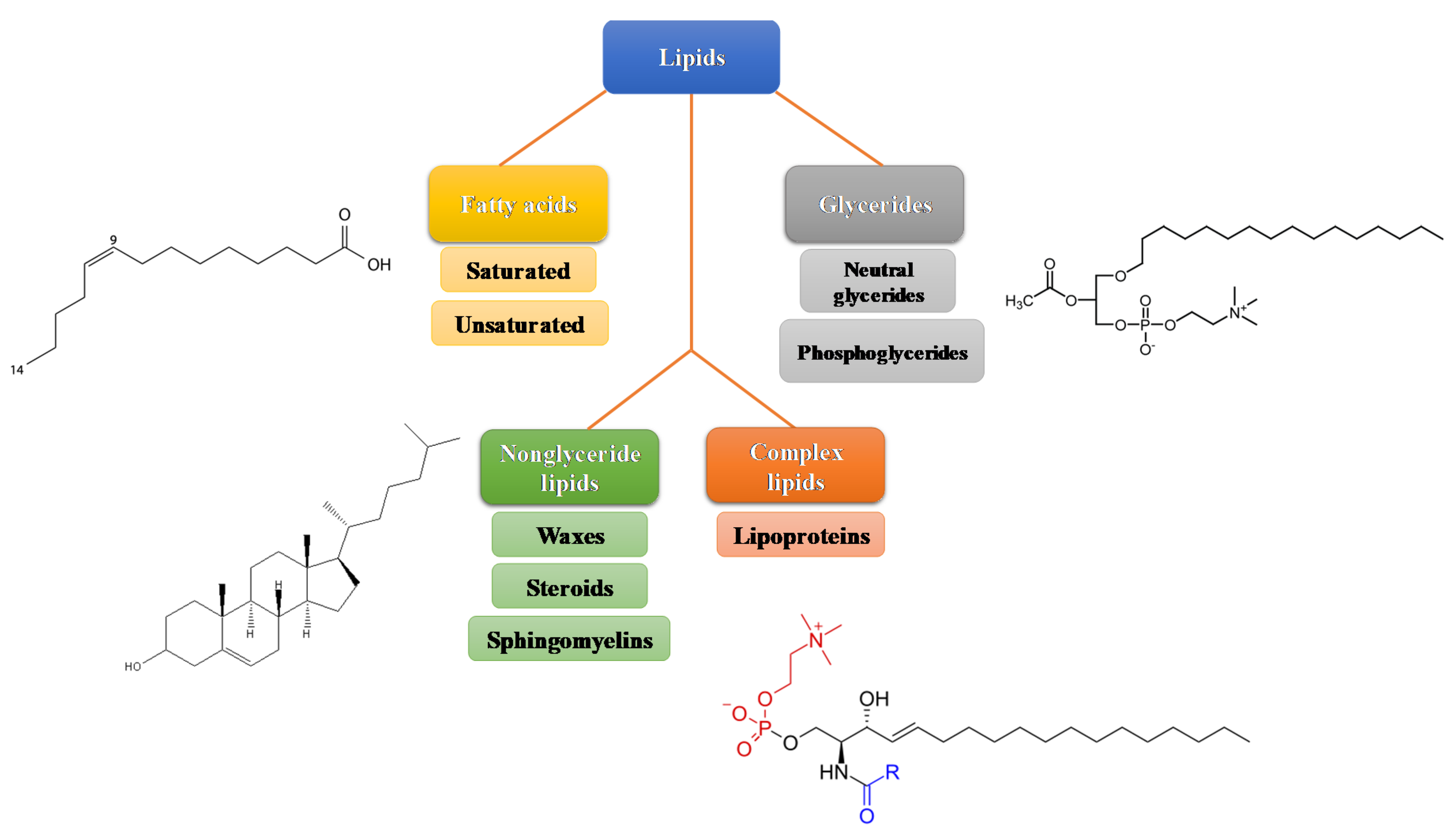 Metabolites 11 00032 g001