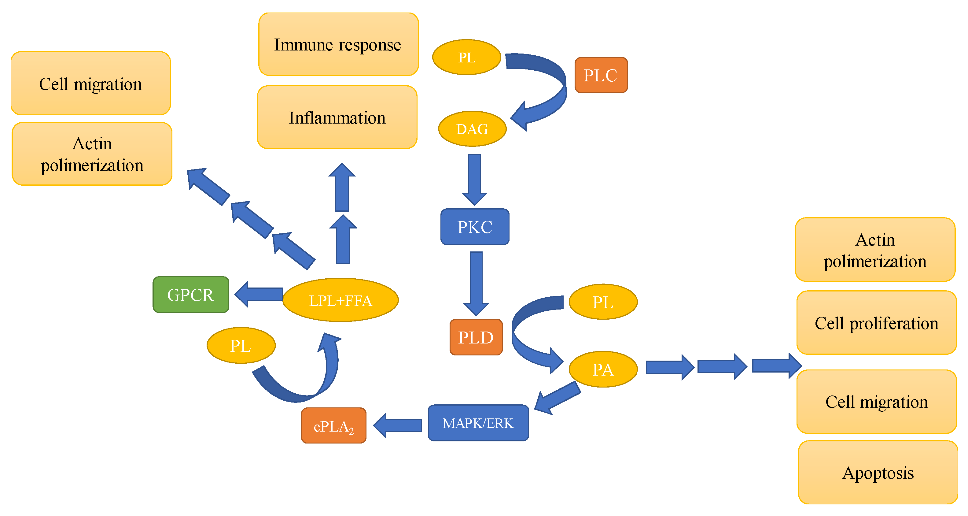 Metabolites 11 00032 g003