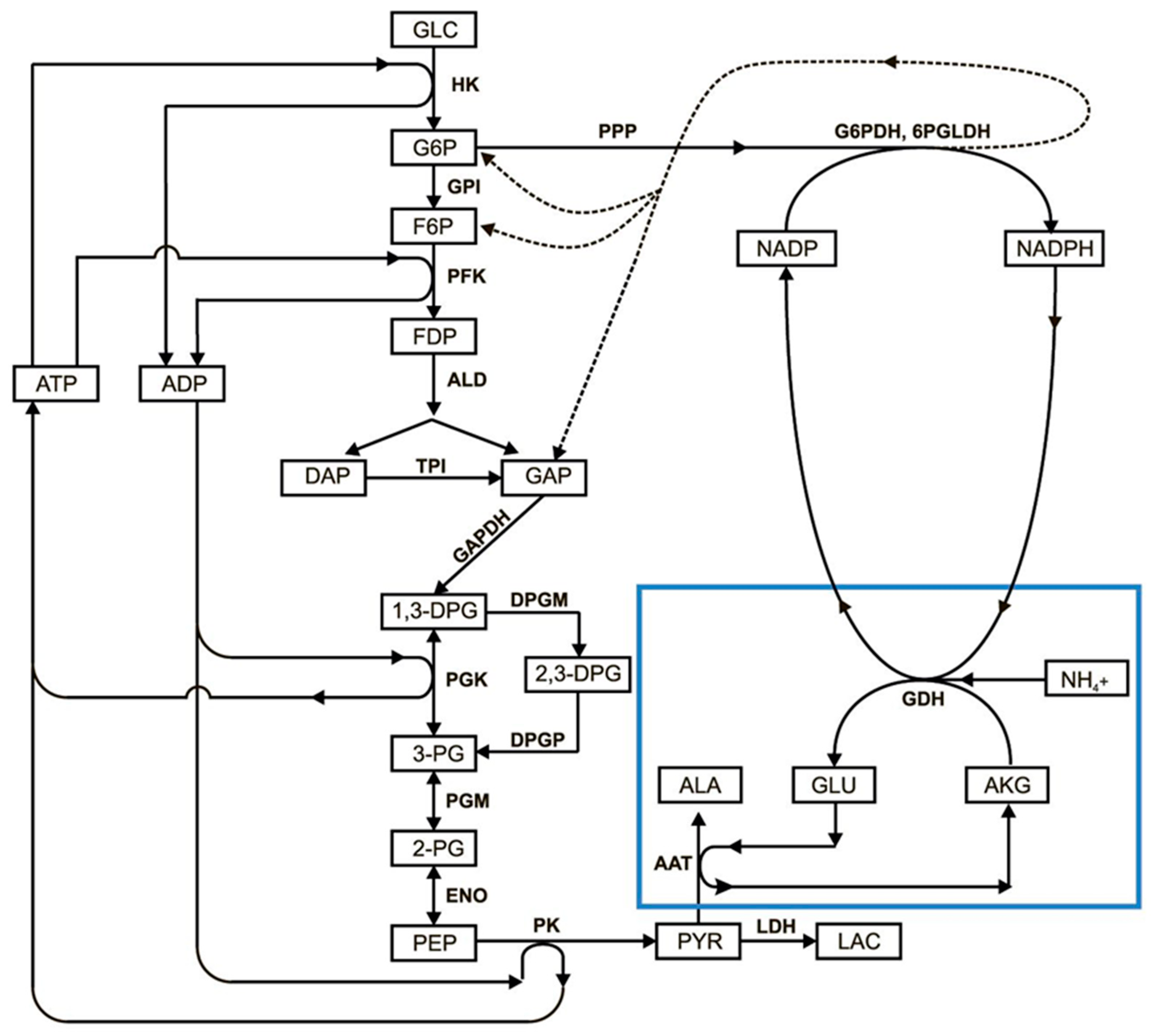 Metabolites 11 00036 g003 Metabolites 11 00036 g003