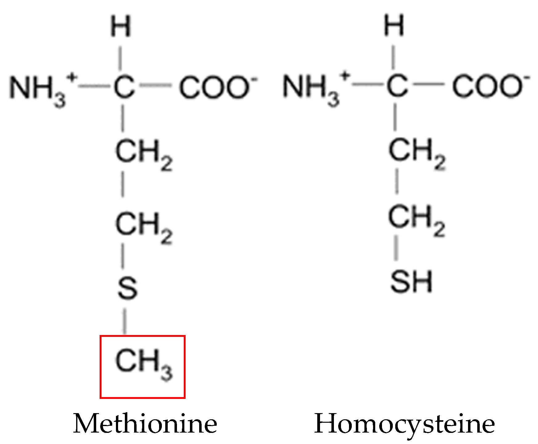 Metabolites 11 00037 g001
