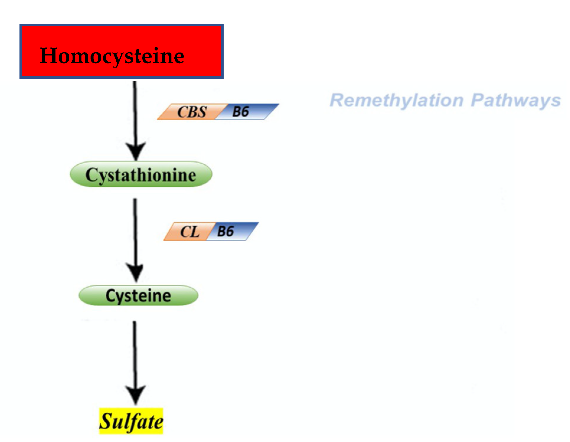 Metabolites 11 00037 g003