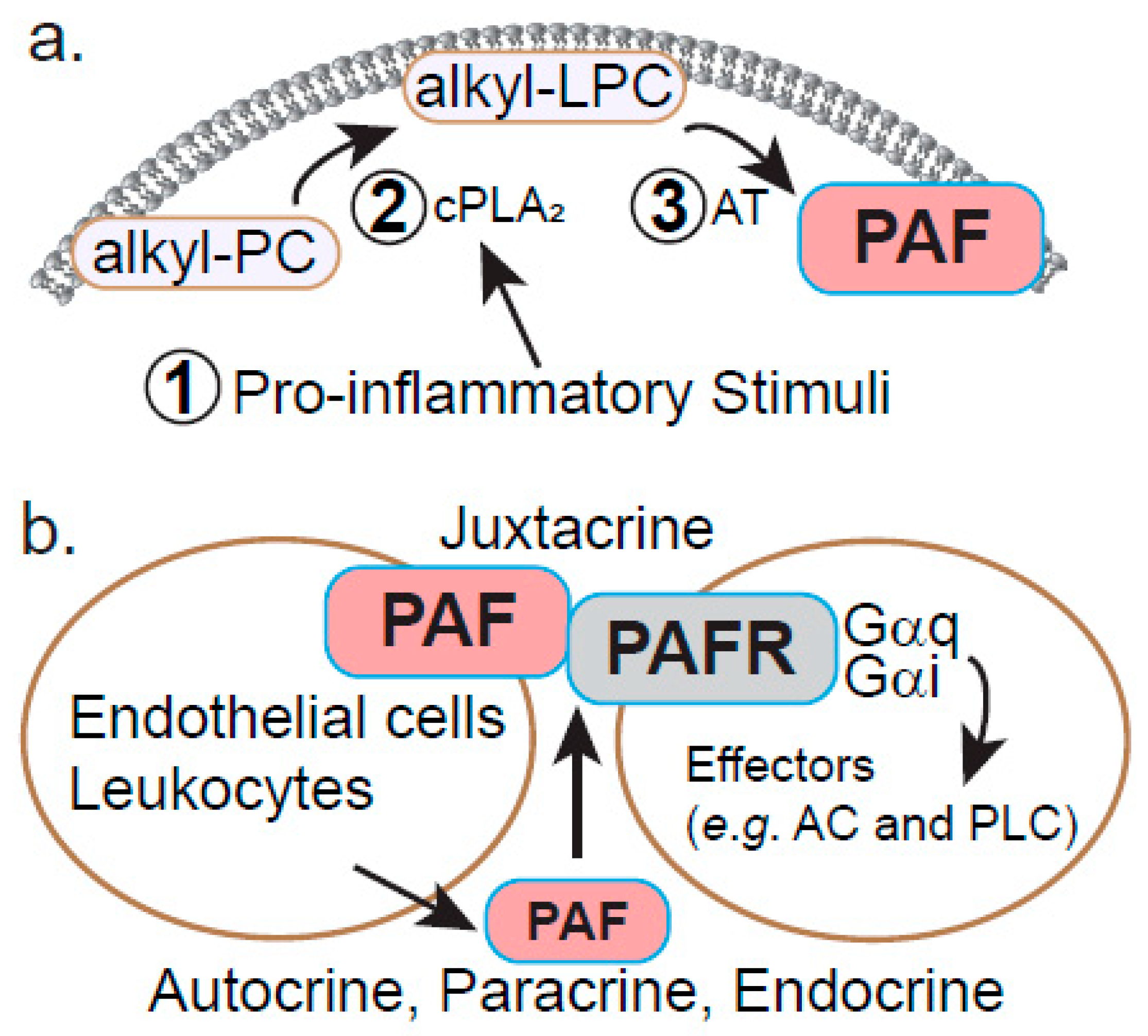 Metabolites 11 00041 g003 Metabolites 11 00041 g003