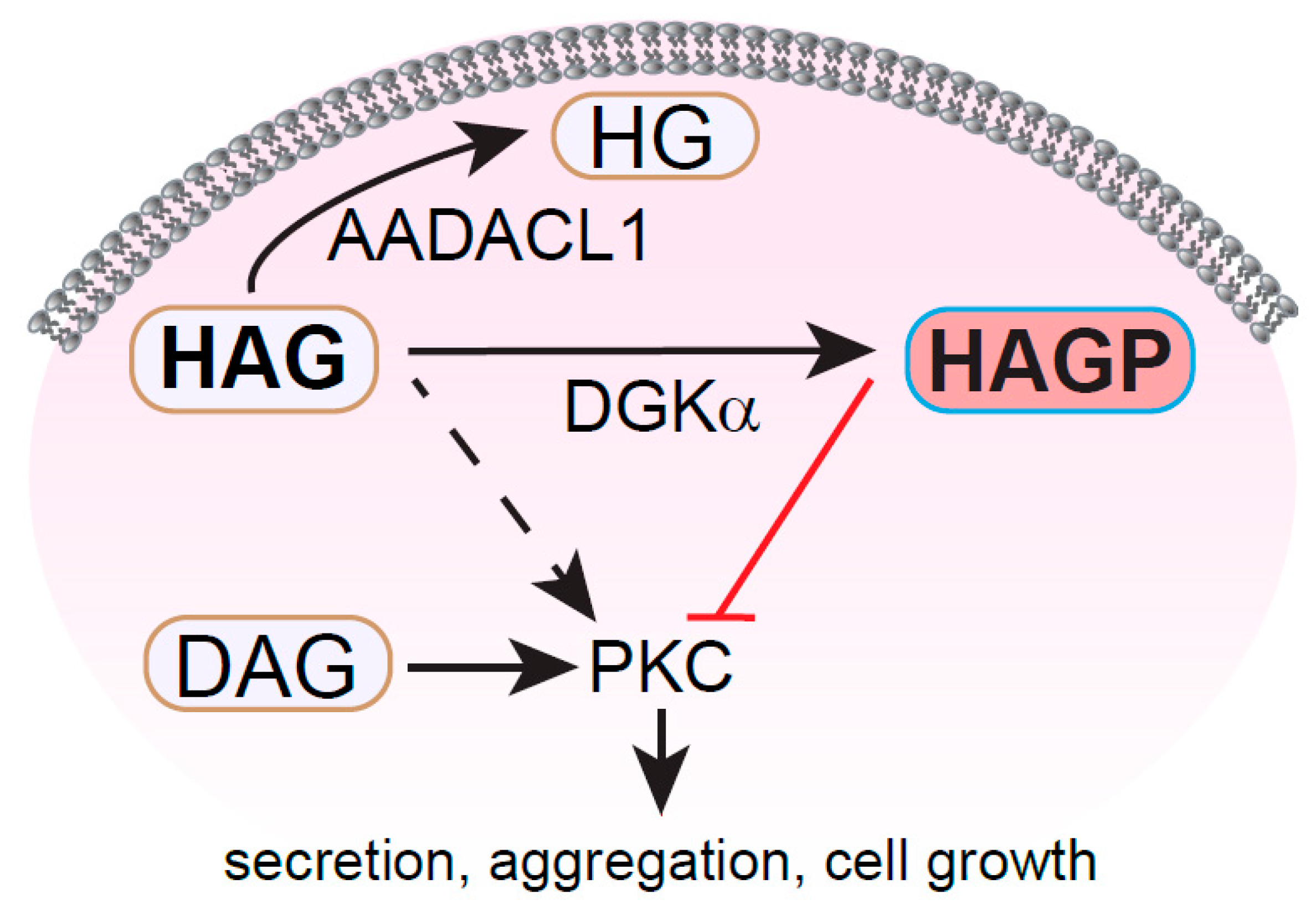 Metabolites 11 00041 g004 Metabolites 11 00041 g004