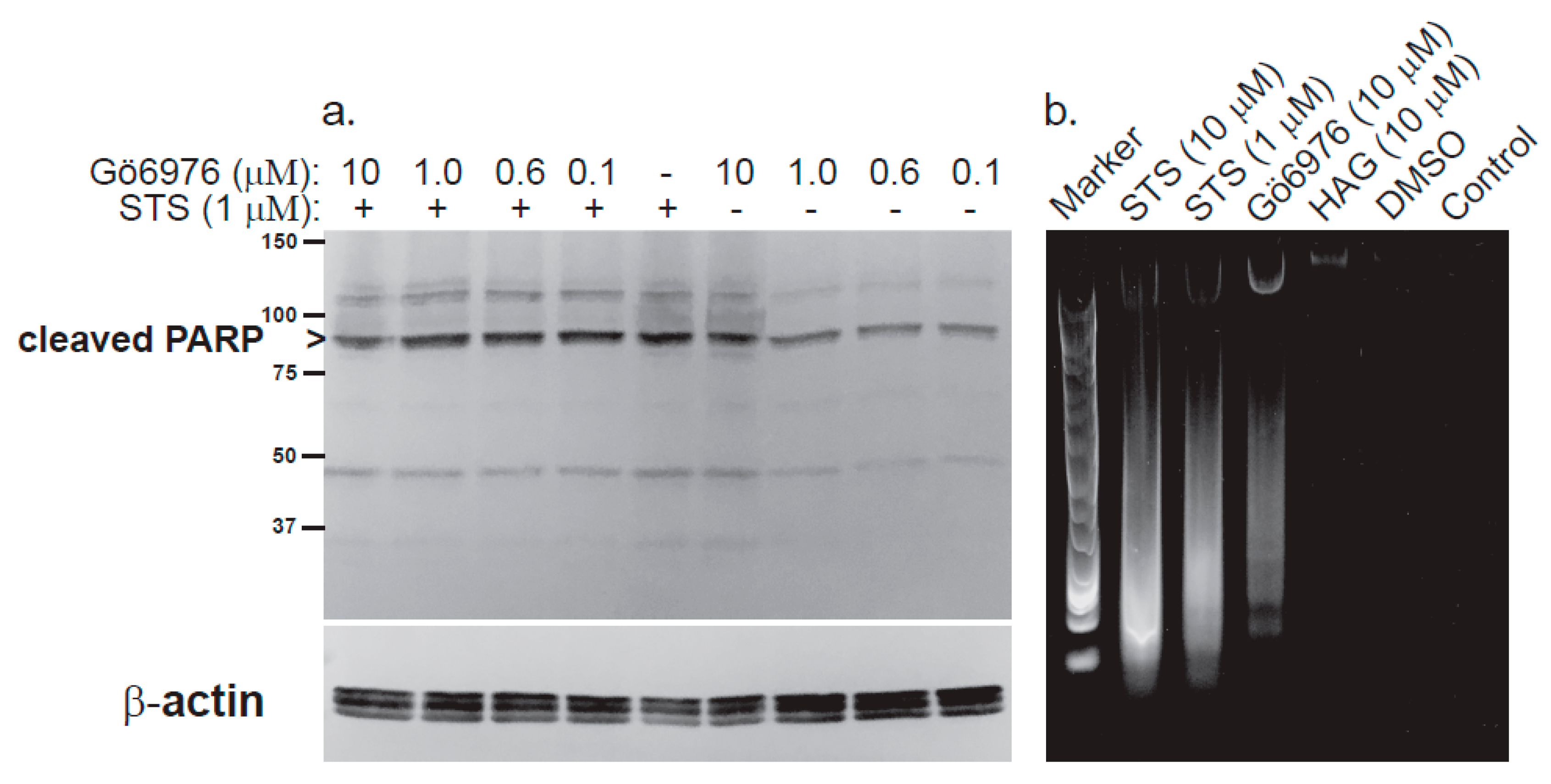 Metabolites 11 00041 g005 Metabolites 11 00041 g005