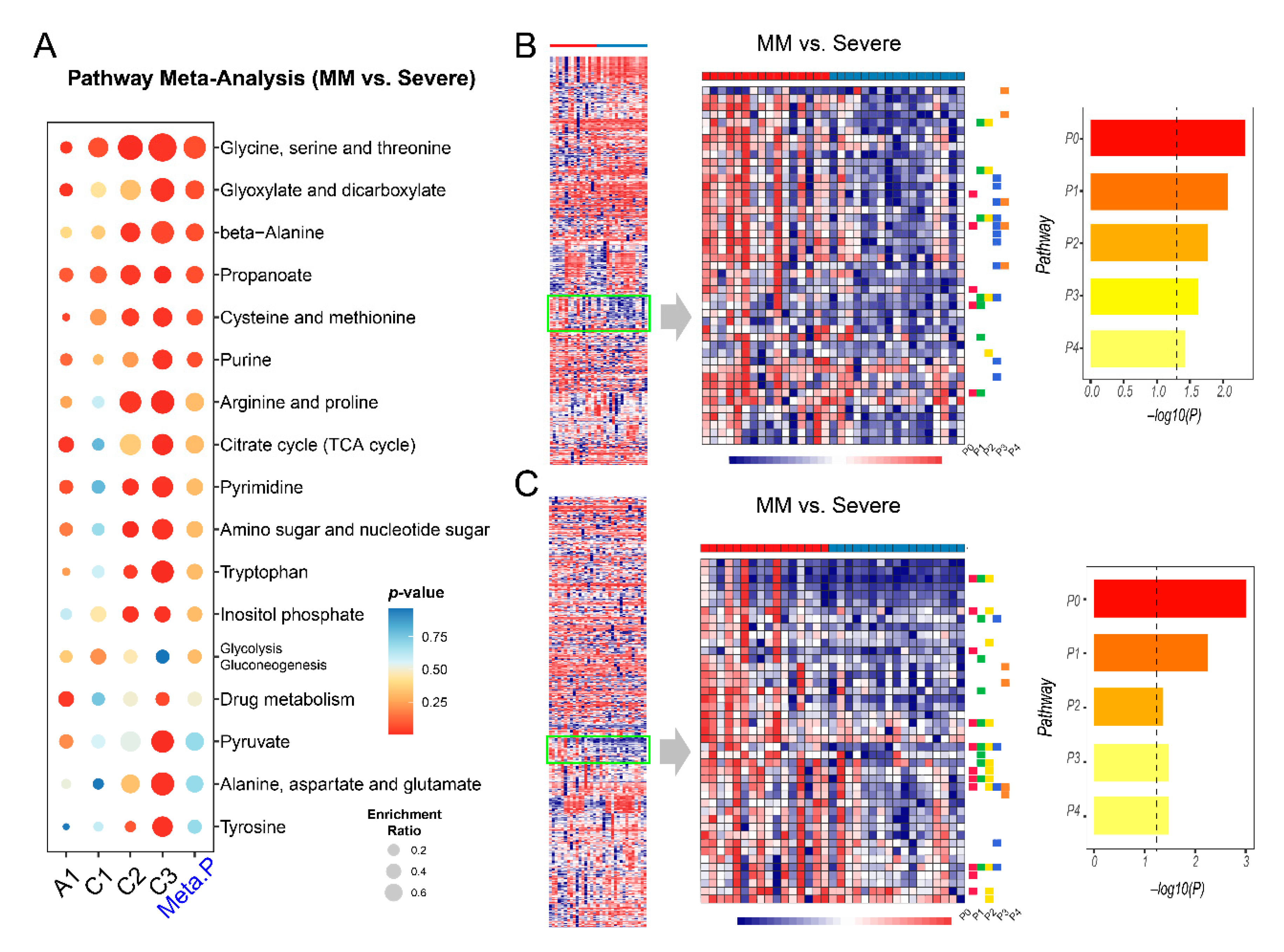 Metabolites 11 00044 g005 Metabolites 11 00044 g005