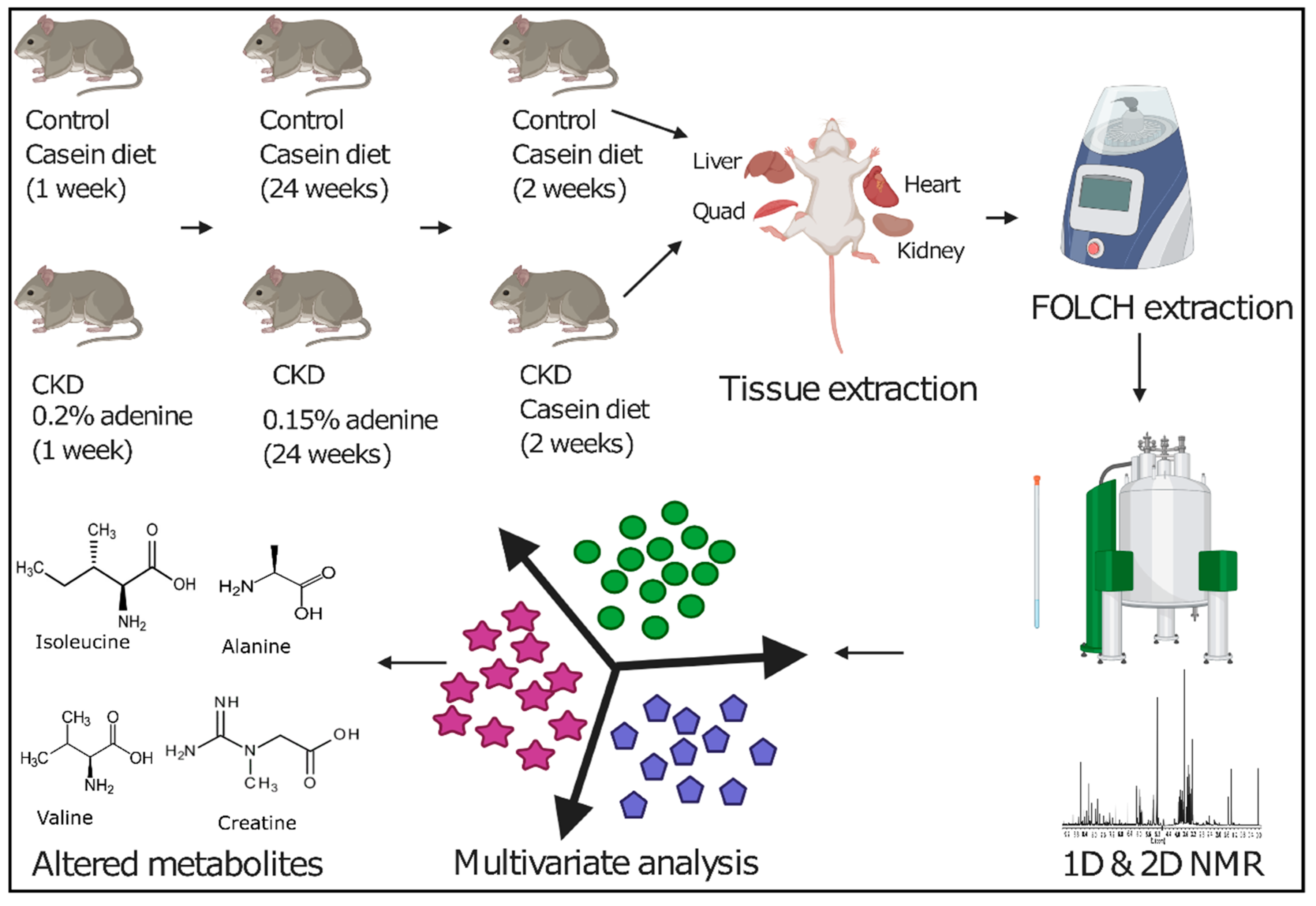 Metabolites 11 00045 g001 Metabolites 11 00045 g001