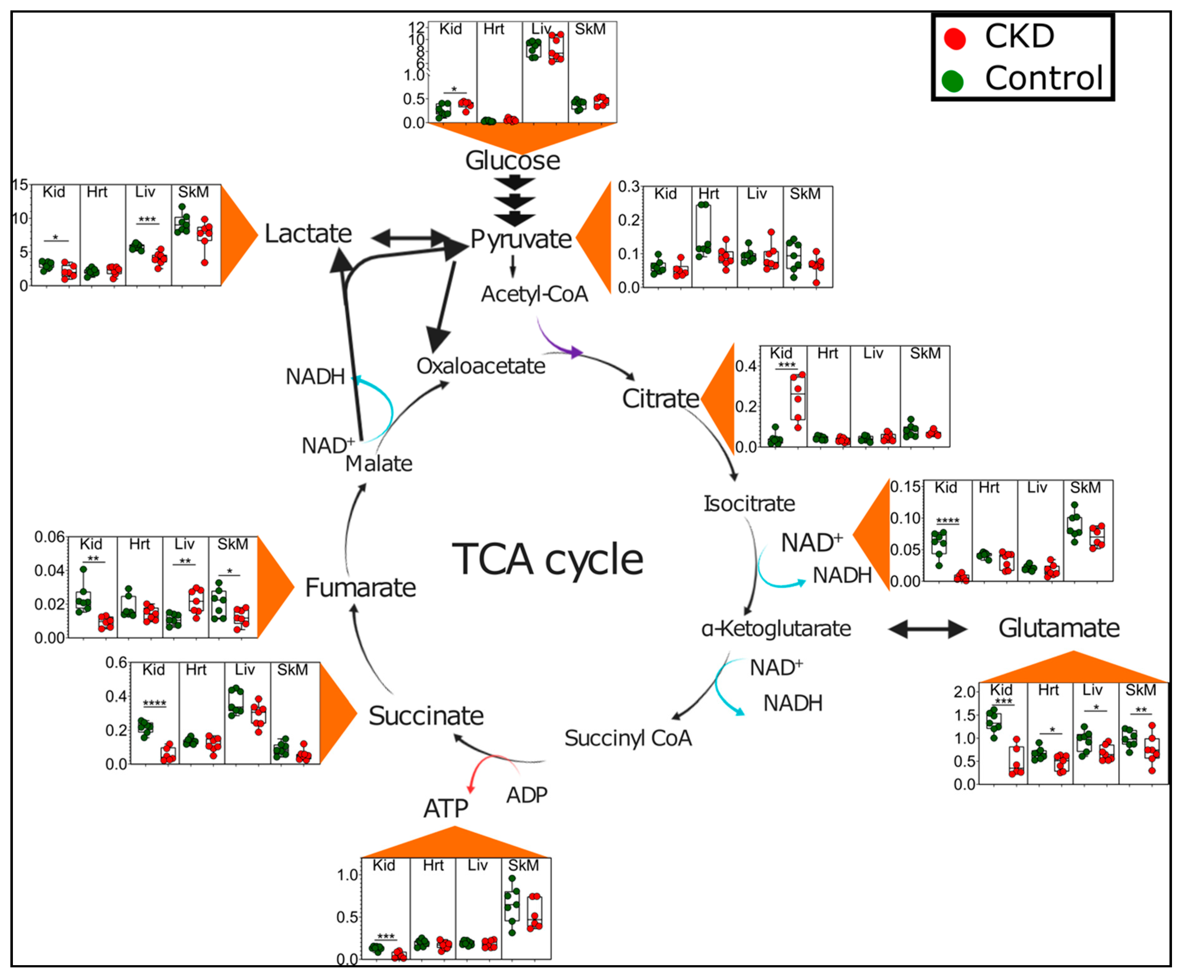 Metabolites 11 00045 g006 Metabolites 11 00045 g006