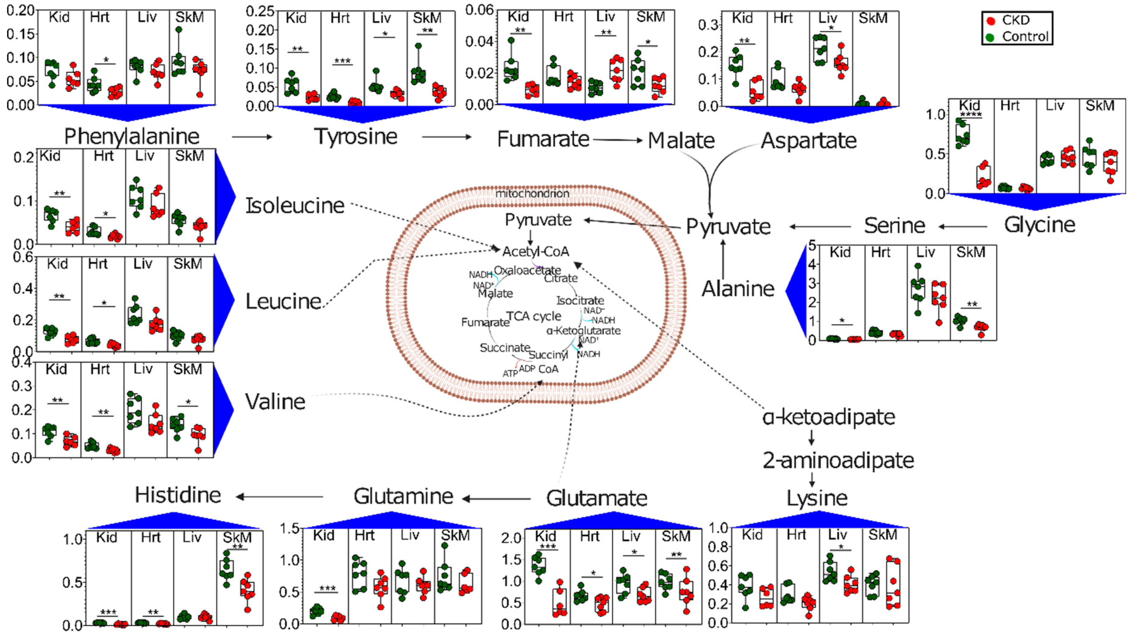 Metabolites 11 00045 g007 Metabolites 11 00045 g007