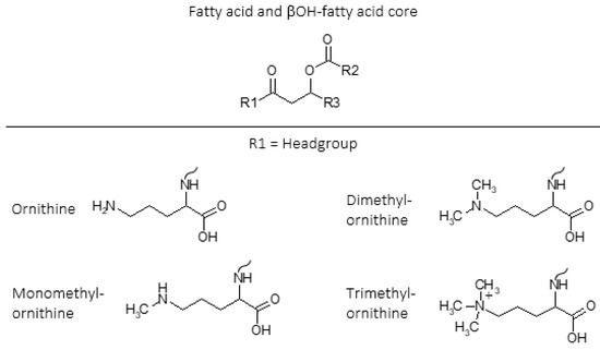 Metabolites 11 00049 g001 550