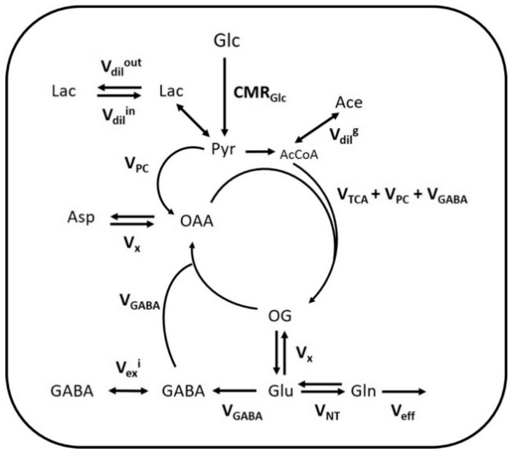 Metabolites 11 00050 g003