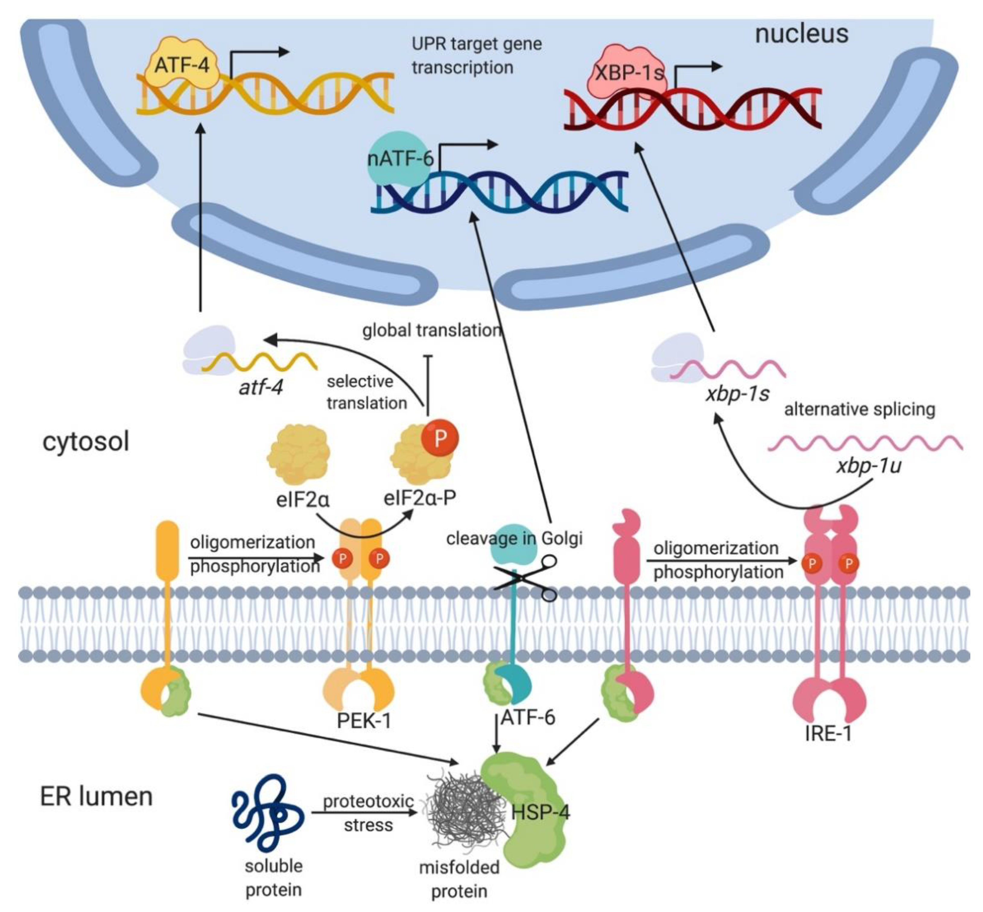 Metabolites 11 00052 g001 Metabolites 11 00052 g001