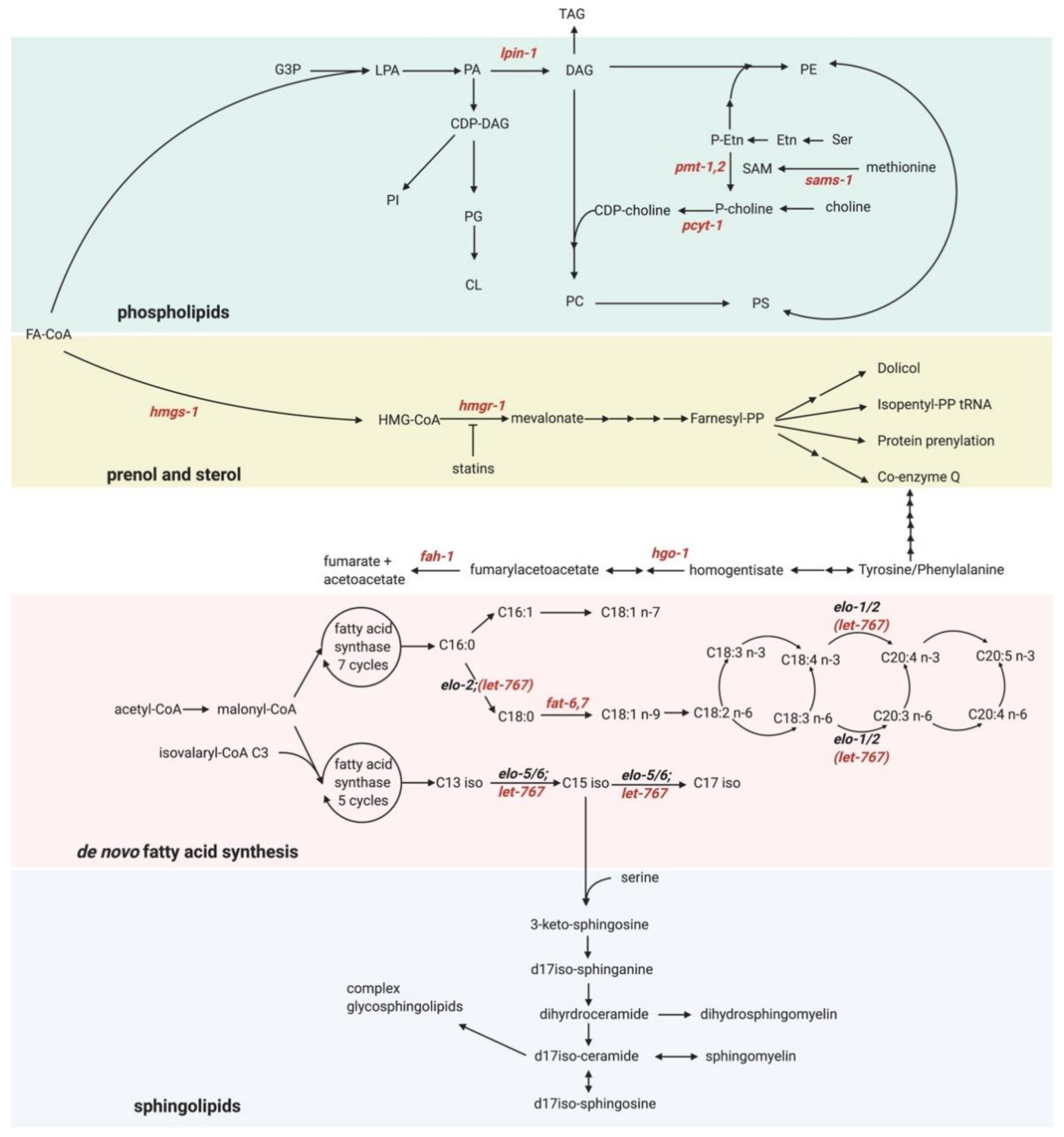 Metabolites 11 00052 g003 Metabolites 11 00052 g003
