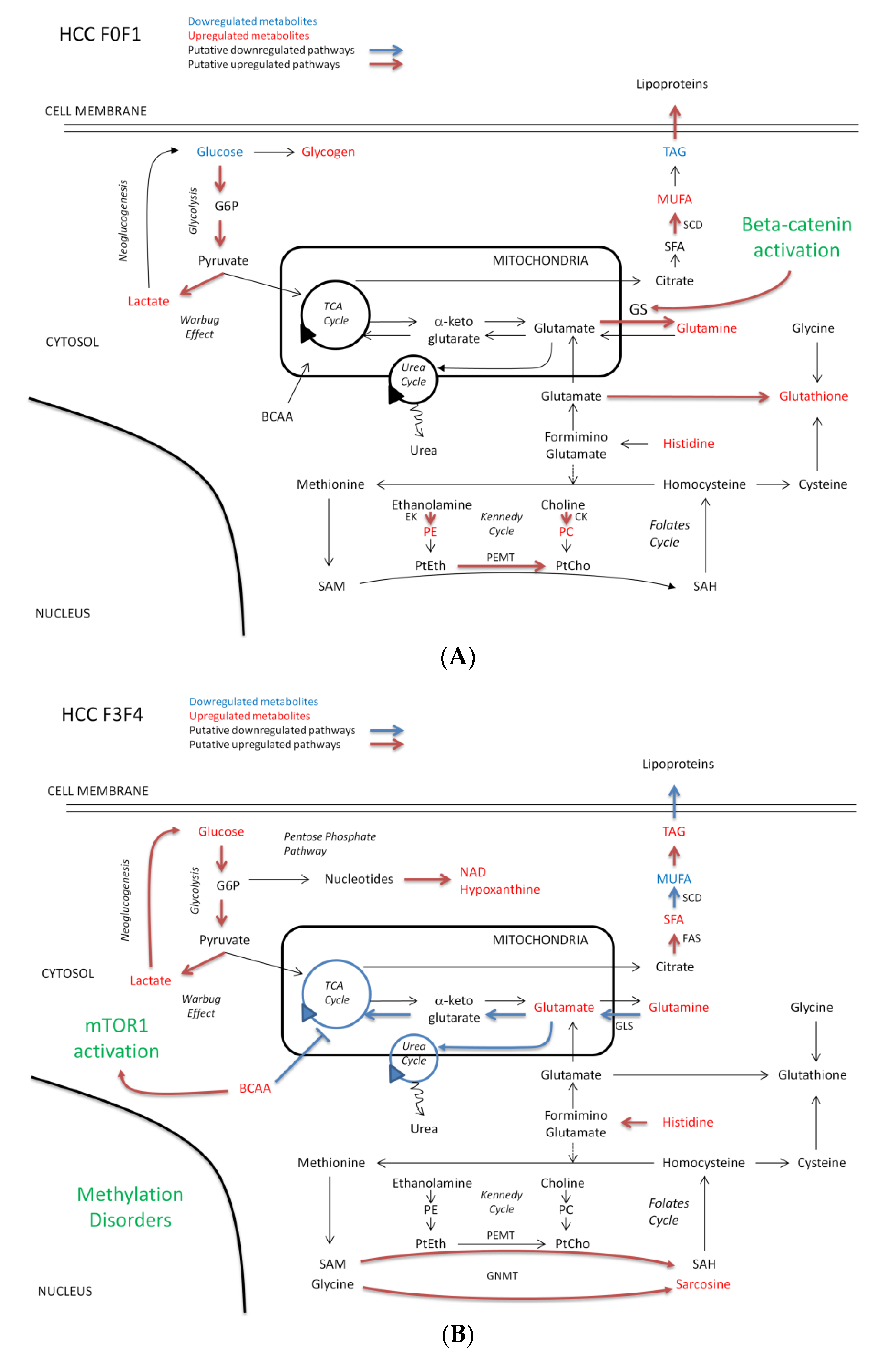 Metabolites 11 00054 g004 Metabolites 11 00054 g004