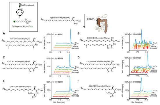 Metabolites 11 00055 g001 550