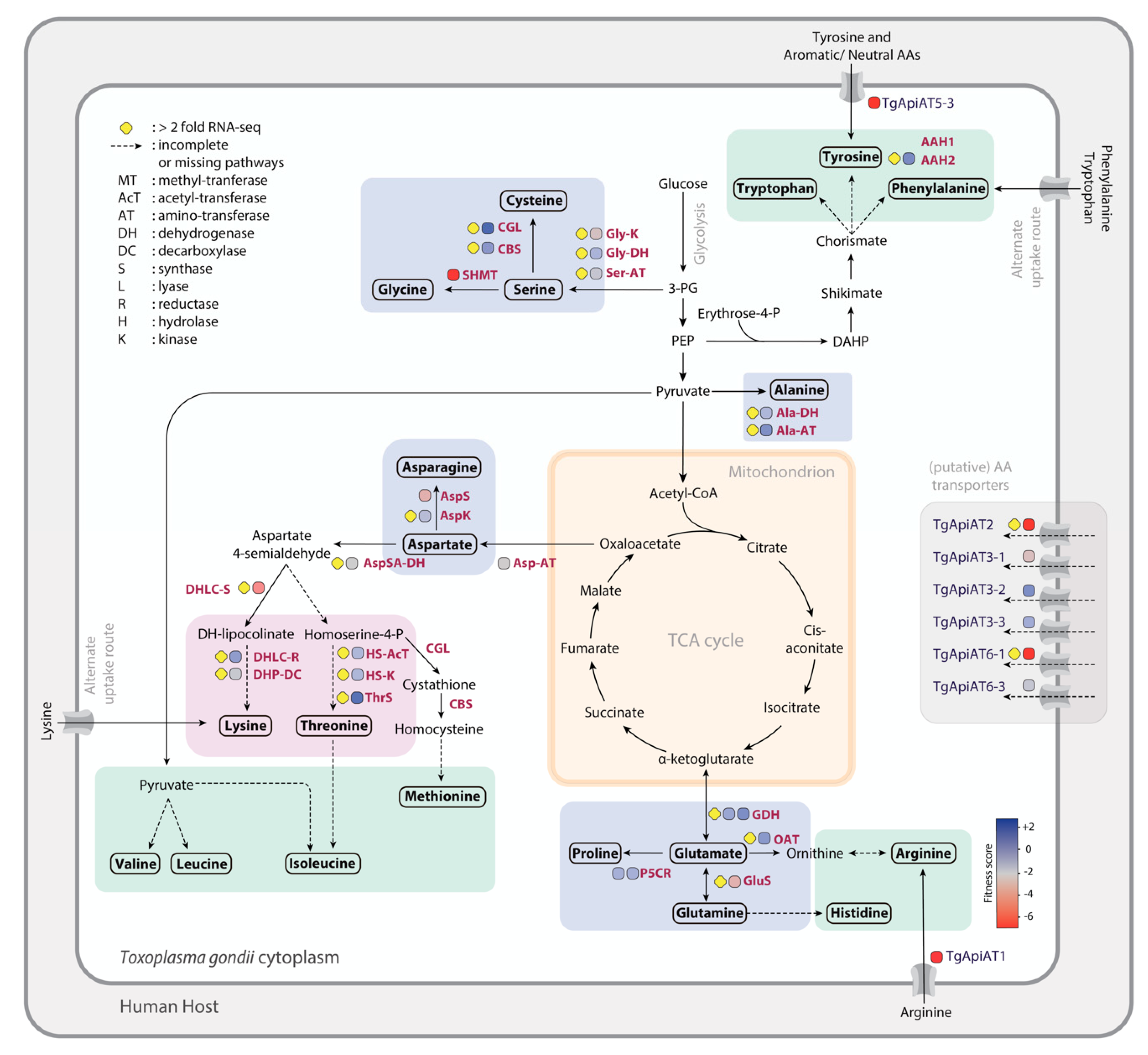 Metabolites 11 00061 g002