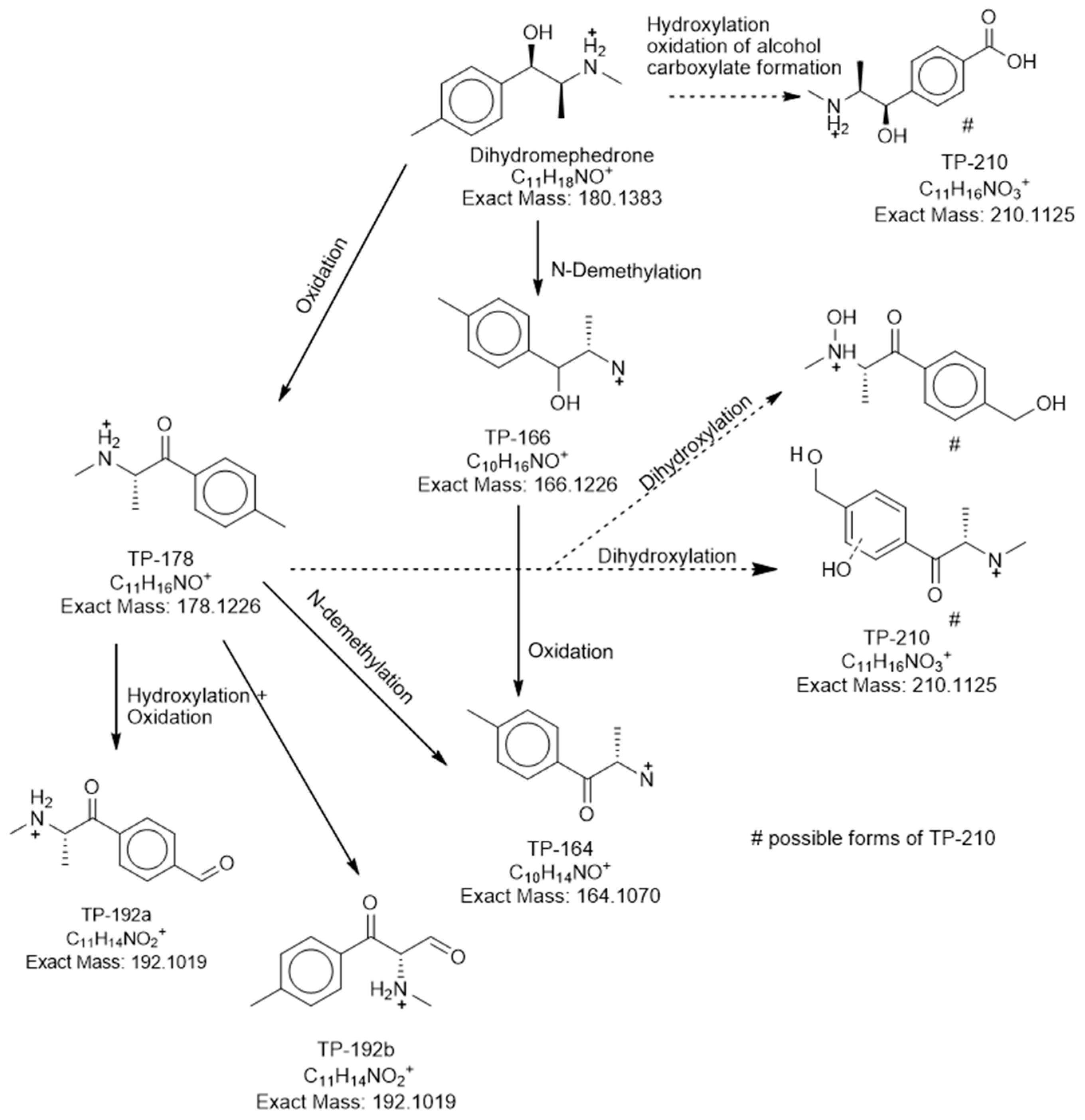 Metabolites 11 00066 g004 Metabolites 11 00066 g004